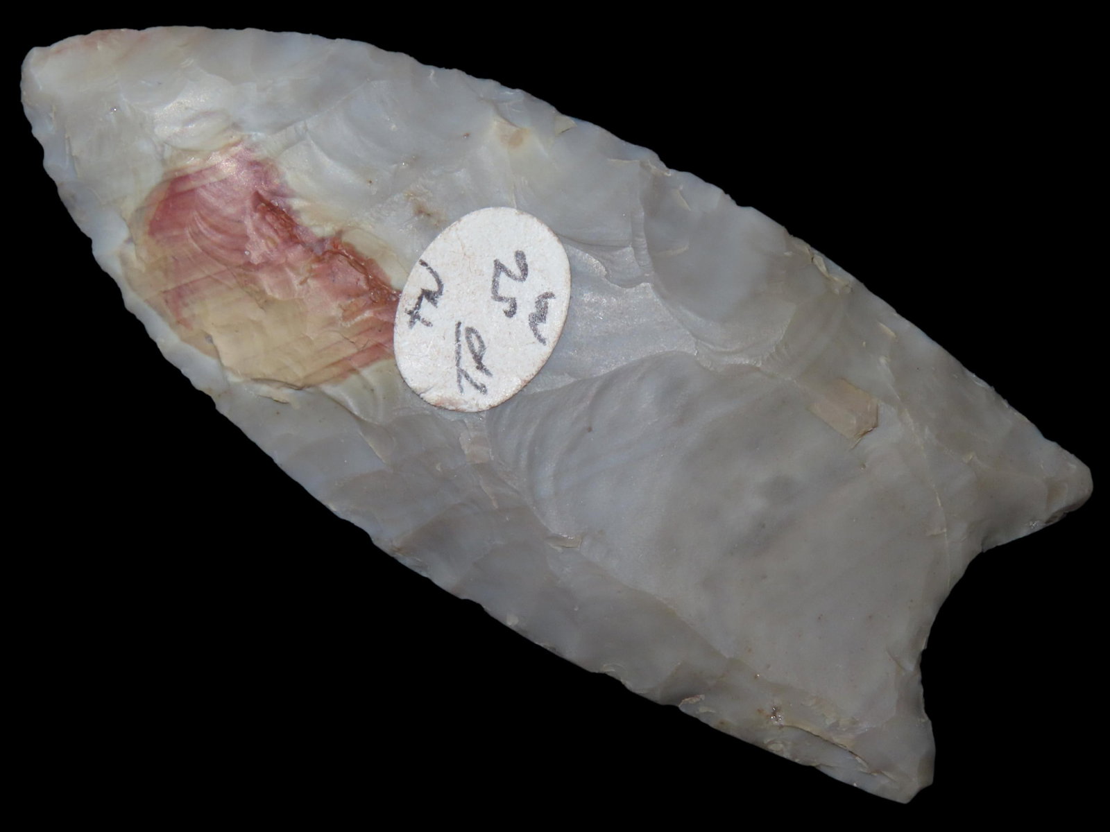 2 3/4" Fluted Clovis, Tennessee, Ex. Walt McIntire (1 of 11)