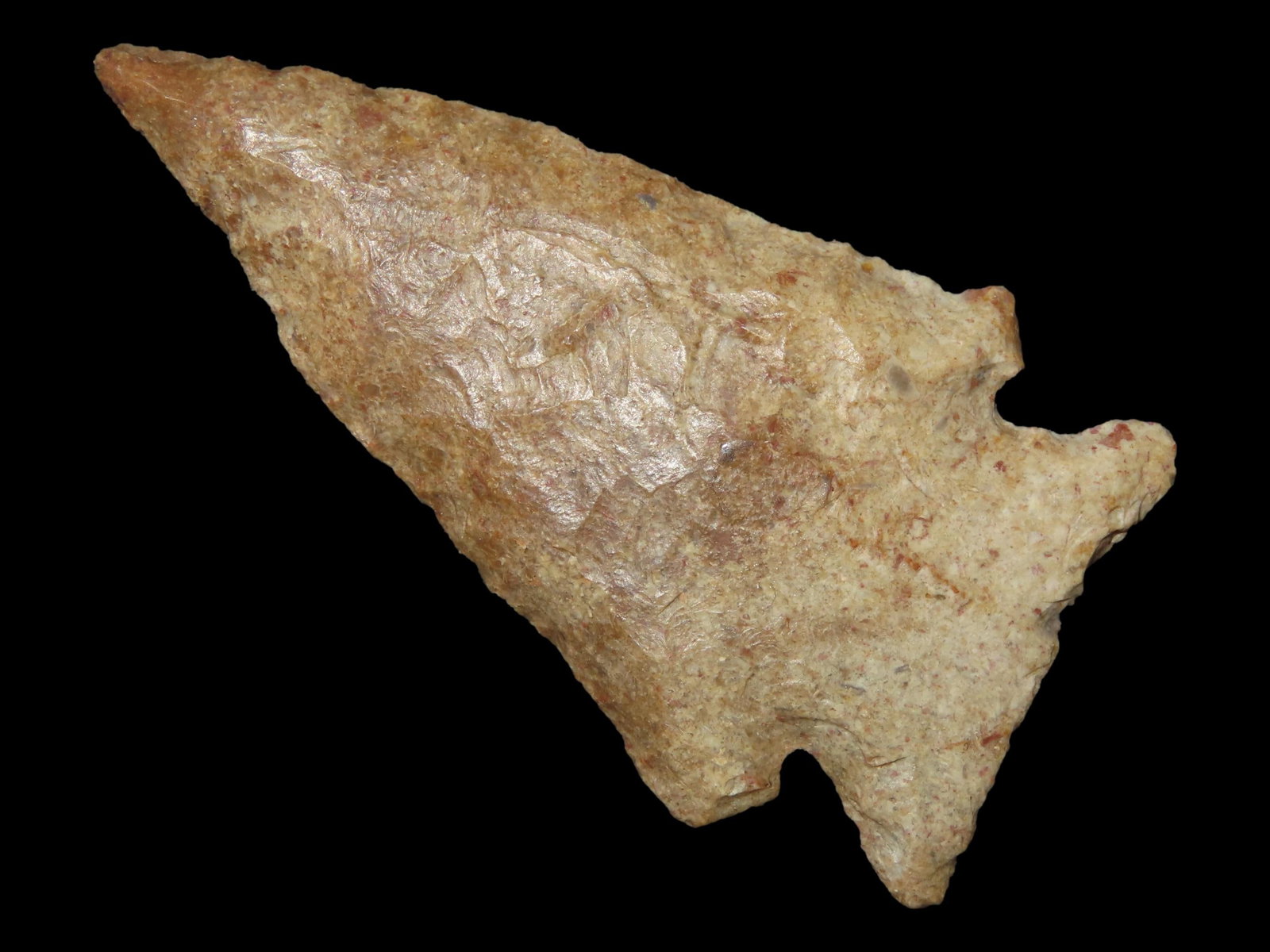 2 1/2" x 1 5/16" Stillwell, Harrodsburg, Mercer Co., Kentucky, Davis COA (1 of 13)