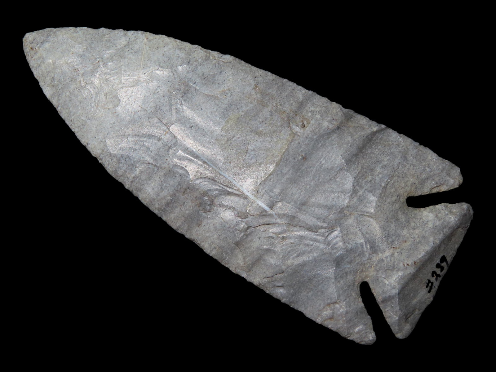 3 9/16" Pulaski, Moline Chert, Whiteside County, Illinois (1 of 14)
