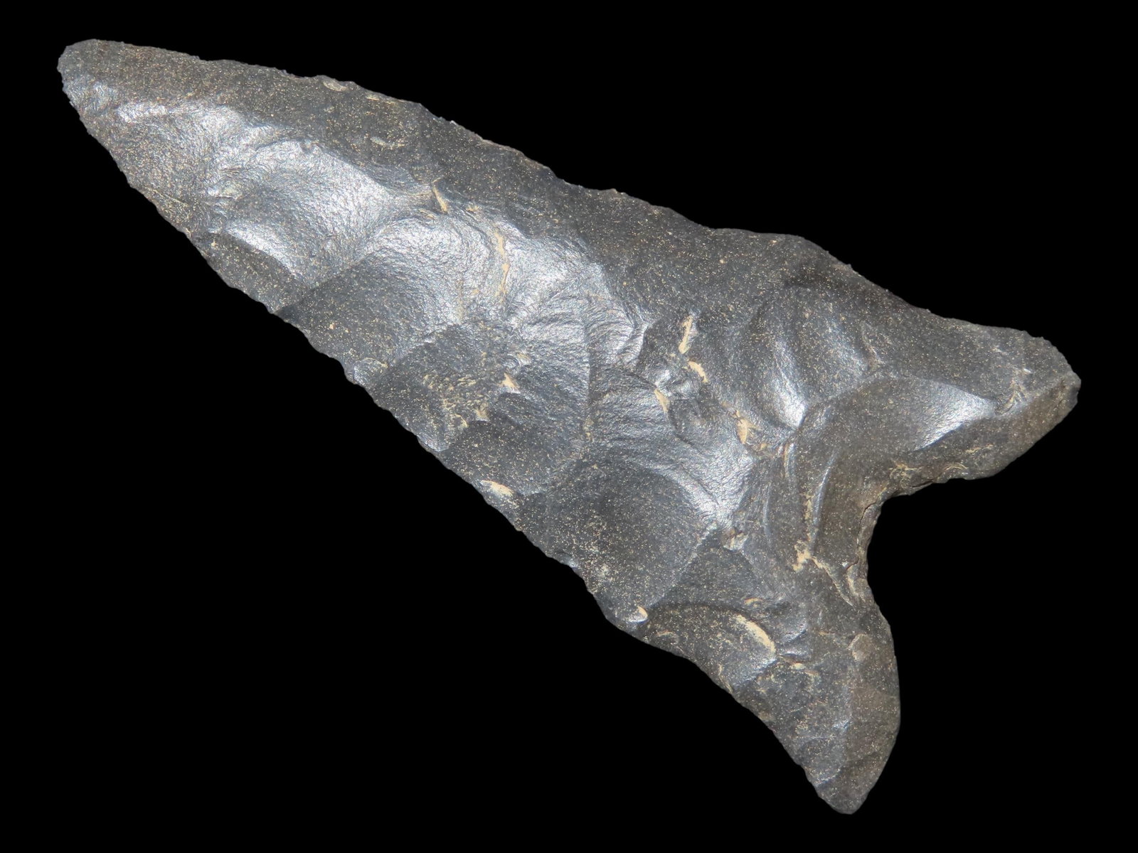 2 7/16" Dalton, Pitkin Chert, Lee Co., Arkansas (1 of 12)