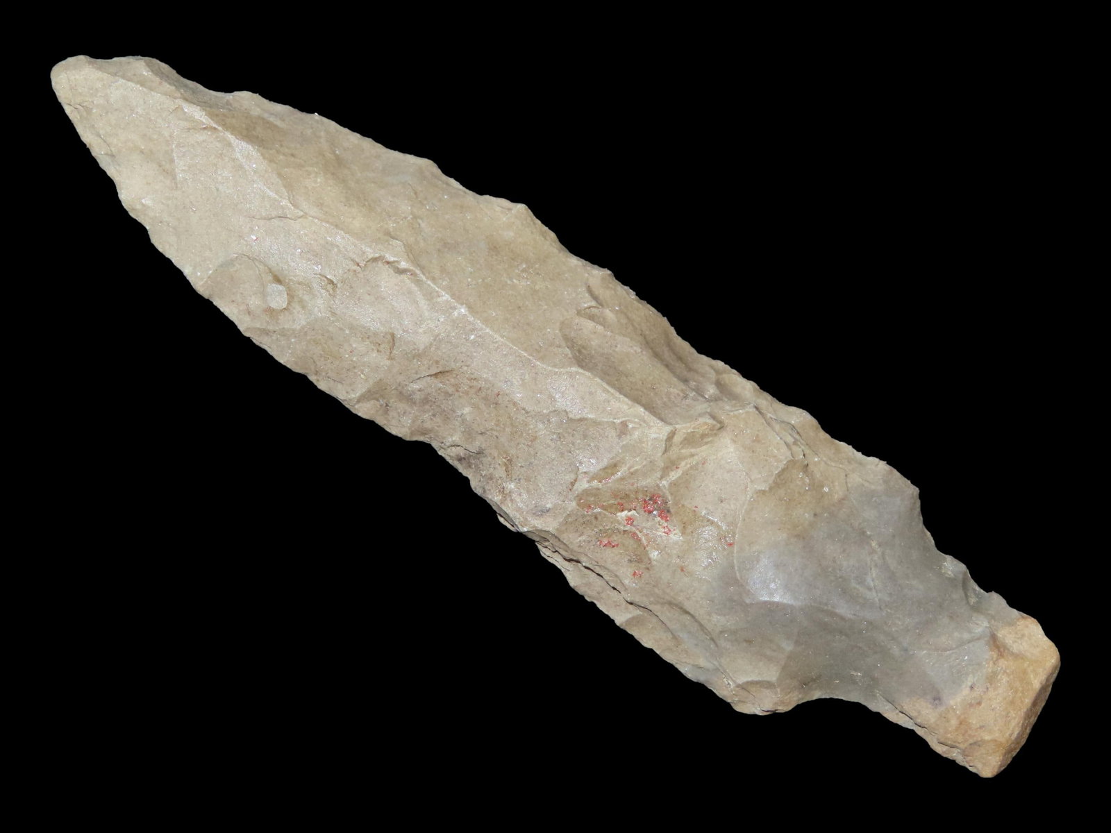 3 13/16" x 1" Little Bear Creek, Fort Payne Chert, Kentucky, Davis COA (1 of 13)