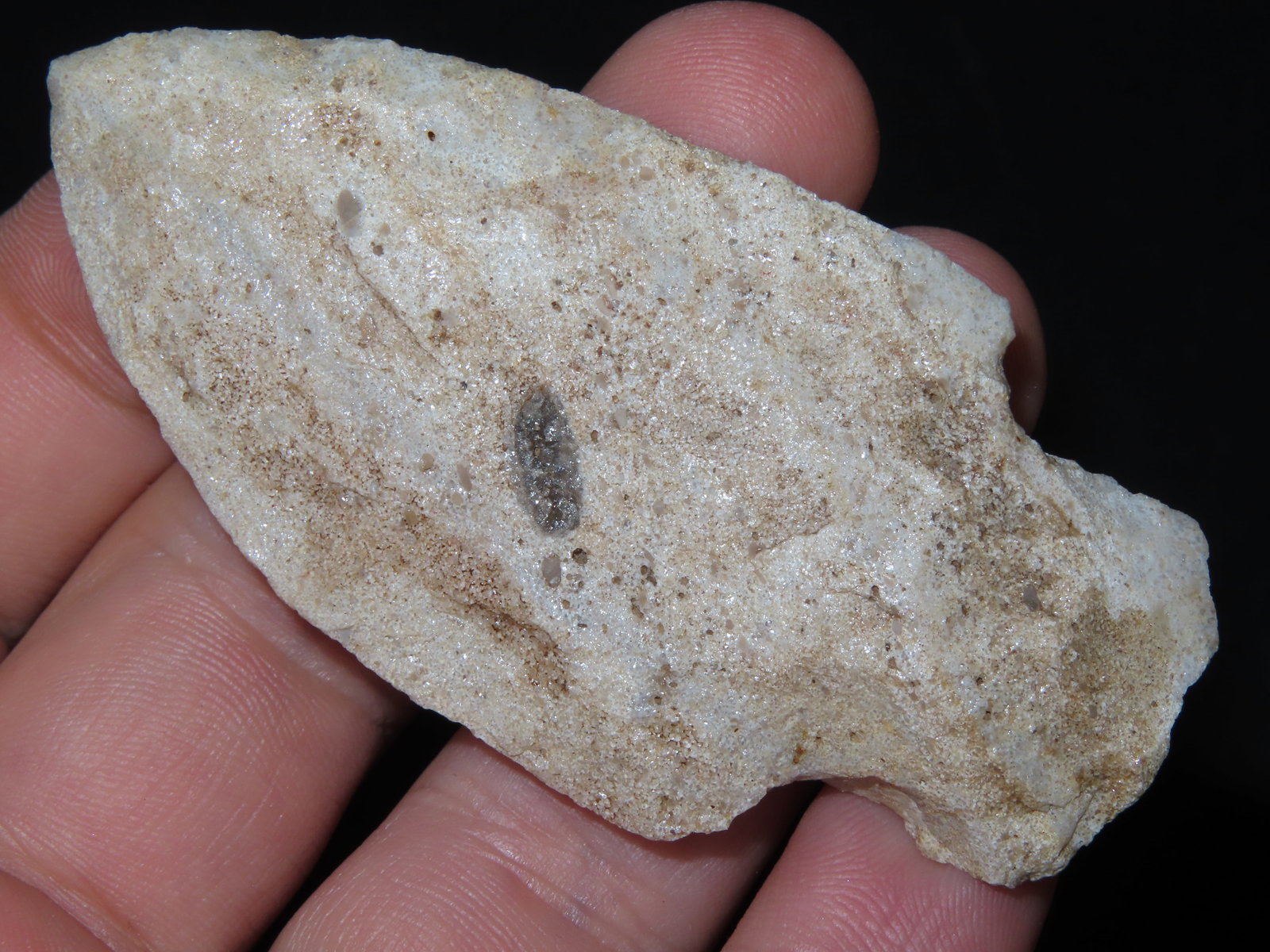 3" Square Stem, Baxter Co., Missouri - 2