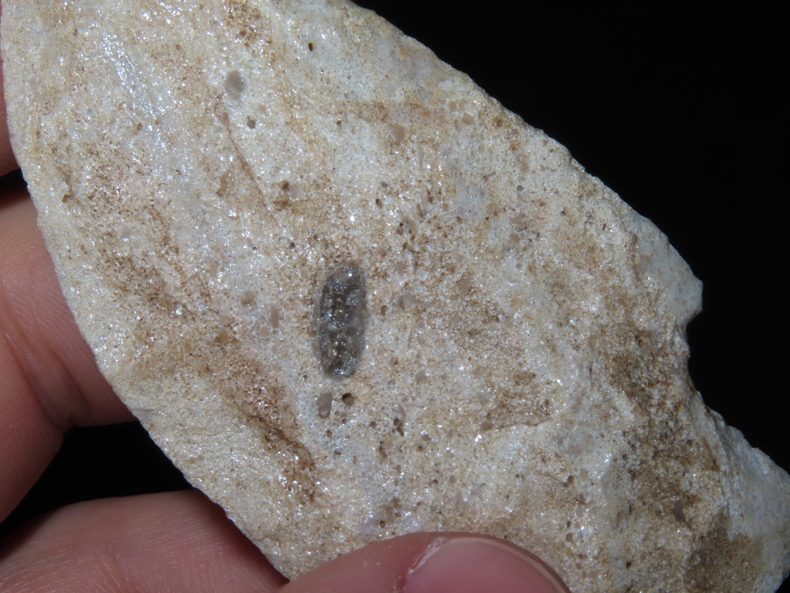 3" Square Stem, Baxter Co., Missouri - 6