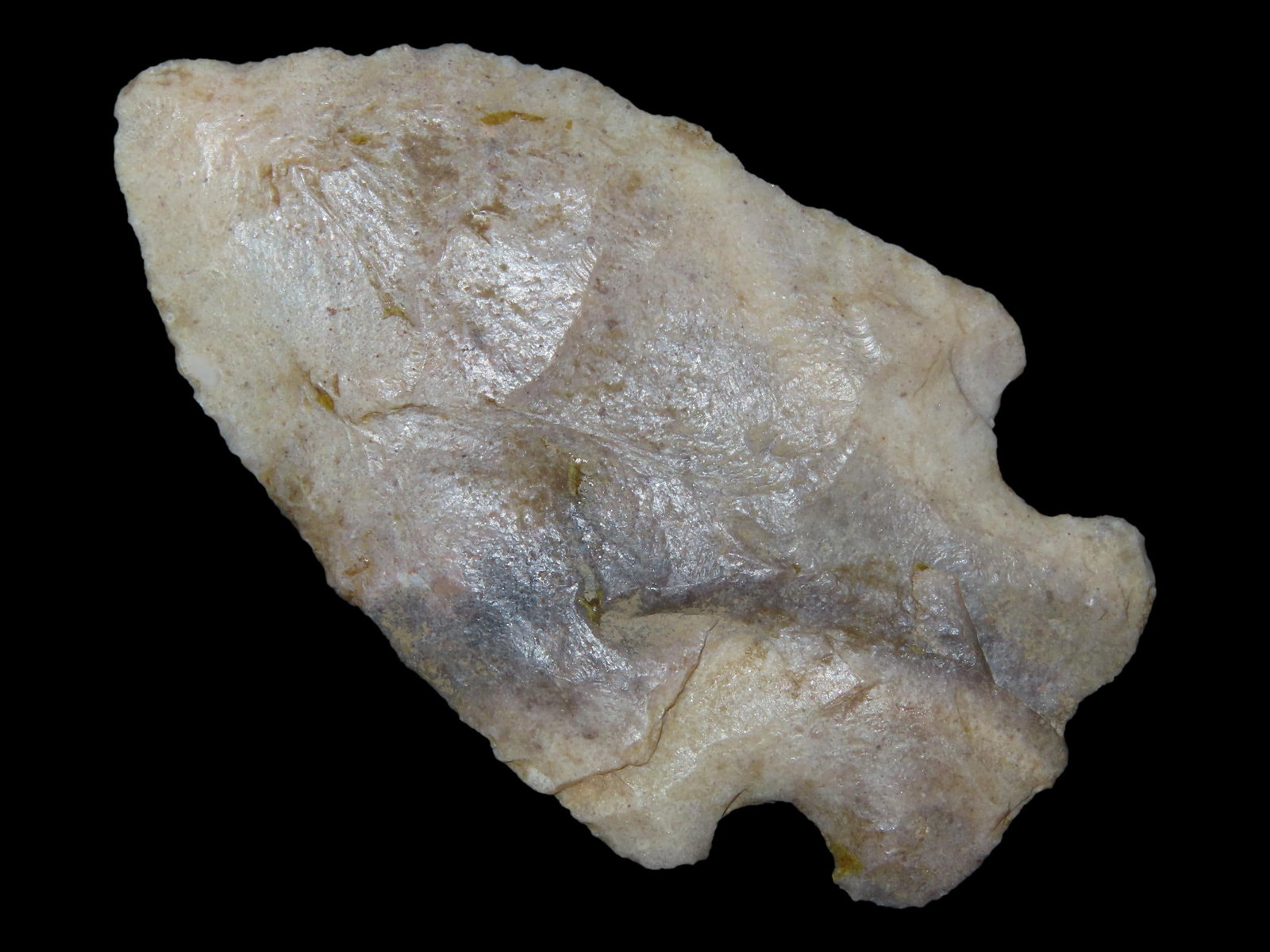 2 1/2" Osceola, St. Louis Co., Missouri, Ex. Nick Gatses: 2 1/2" Osceola, St. Louis Co., Missouri, Ex. Nick Gatses