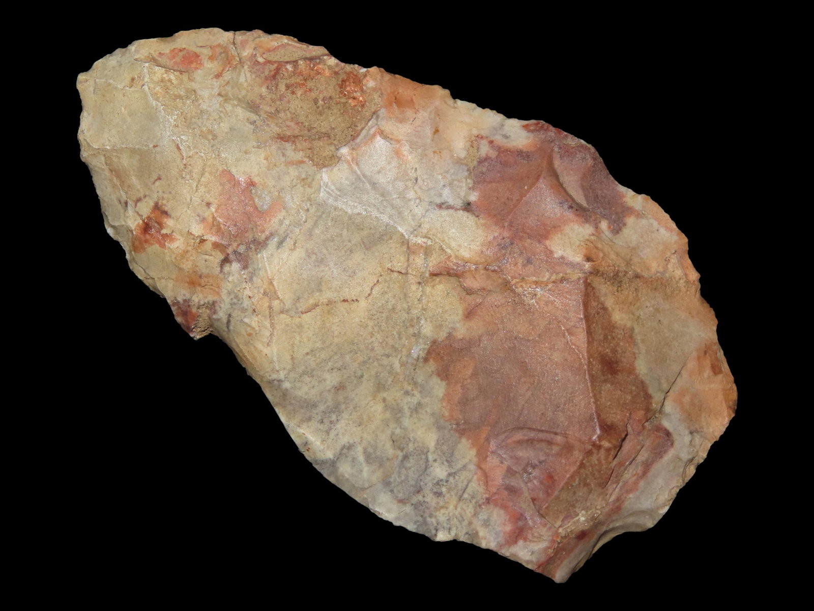 3 1/4" Amazing Color Blade, Alabama, Ex. Walt McIntire Coll. (1 of 6)