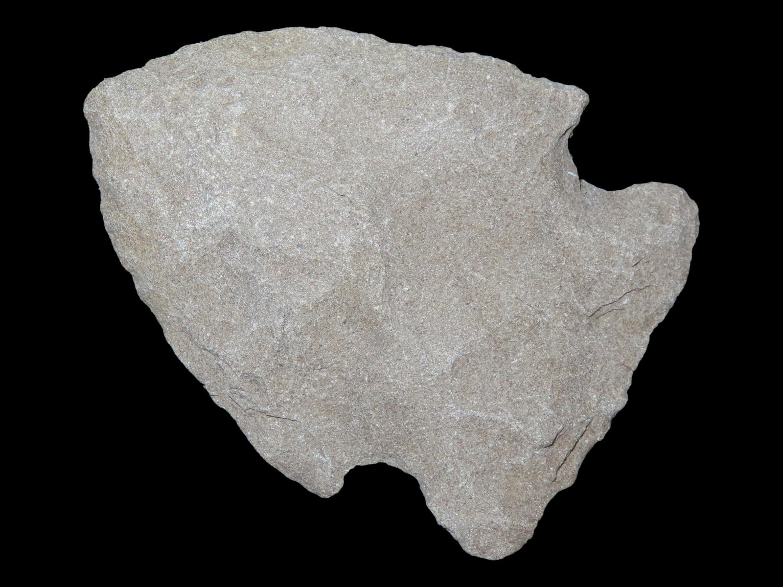 1 3/4" Benton Narrow Stem, Western Tennessee (1 of 6)
