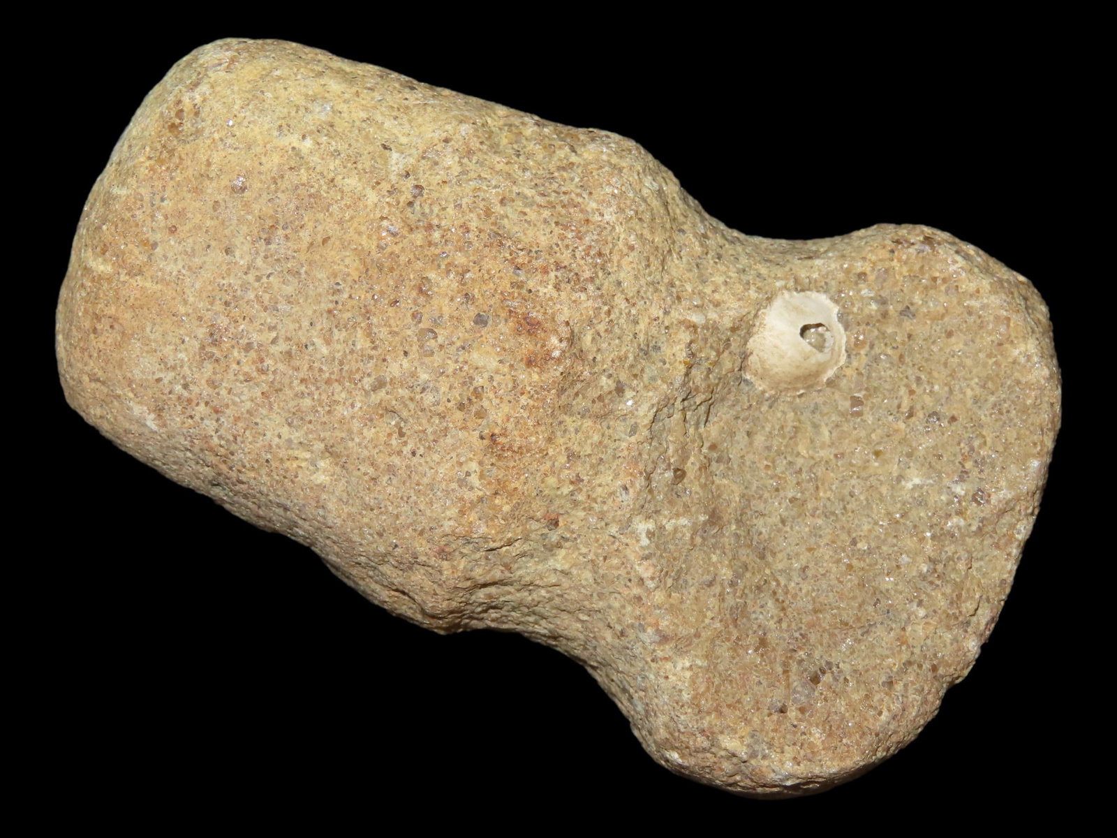 3 1/8" War Club, Grooved, Found in Knox Co., Ohio (1 of 7)