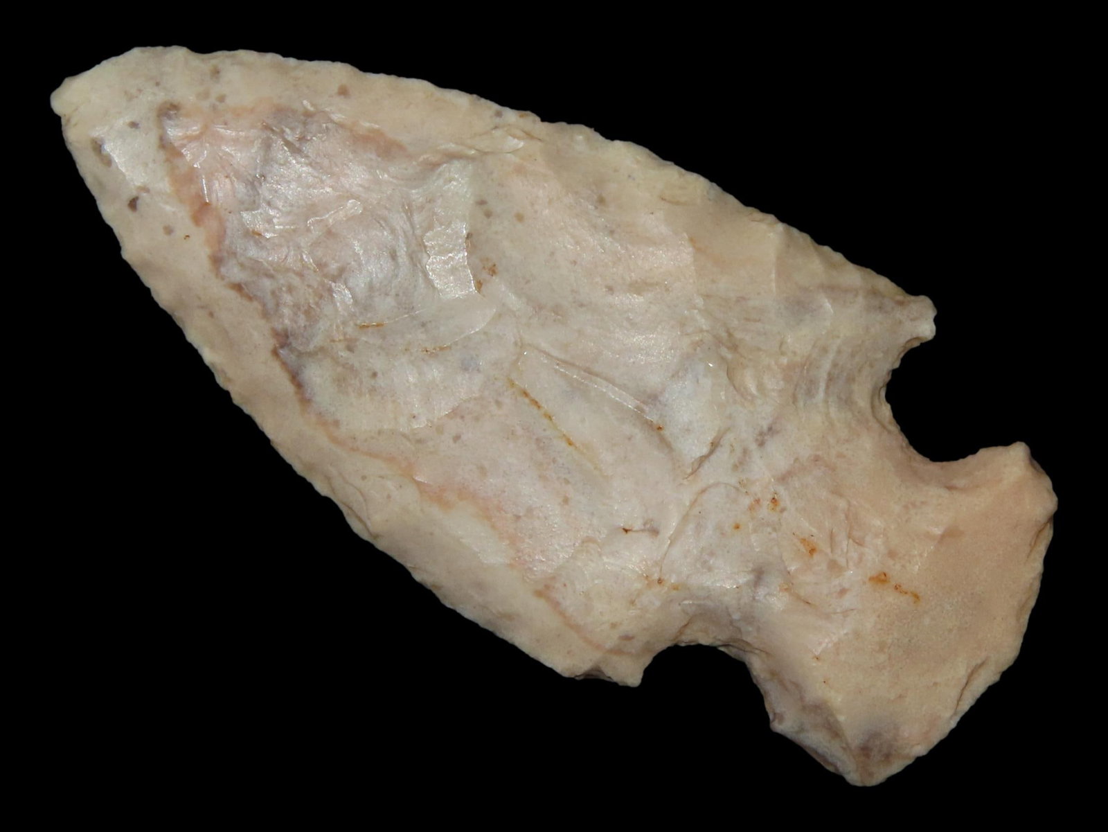 2 1/8" Cupp Mississippian, St. Louis Co., Missouri, Ex. Nick Gatses (1 of 6)
