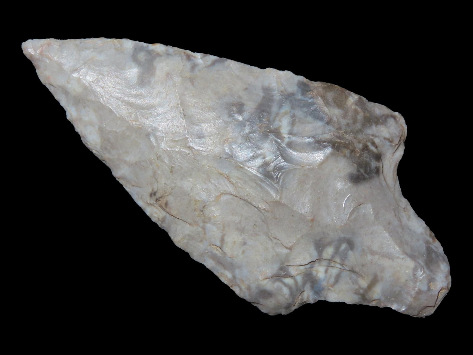 2 1/8" Gary, Prenters Chert, SE Missouri, Ex. Nick Gatses: 2 1/8" Gary, Prenters Chert, SE Missouri, Ex. Nick Gatses