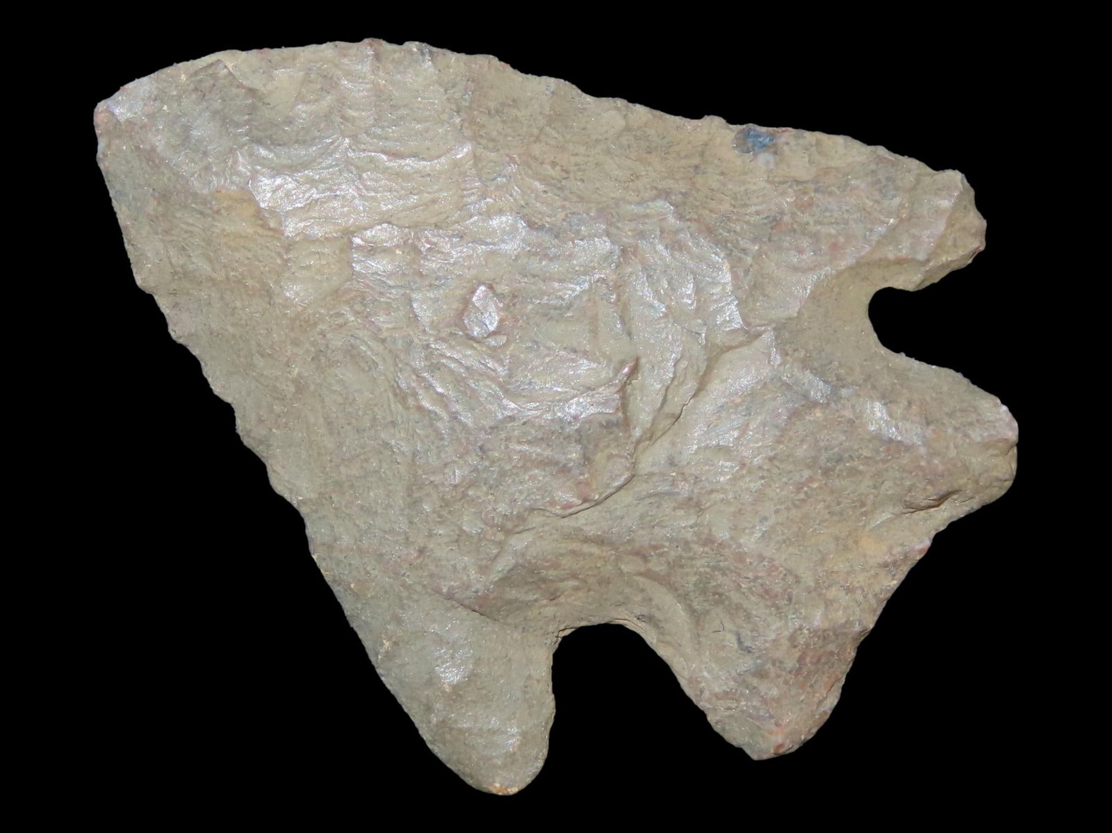1 5/8" Pine Tree Corner Notch, Eastern Tennessee, Ex. Walt McIntire (1 of 6)