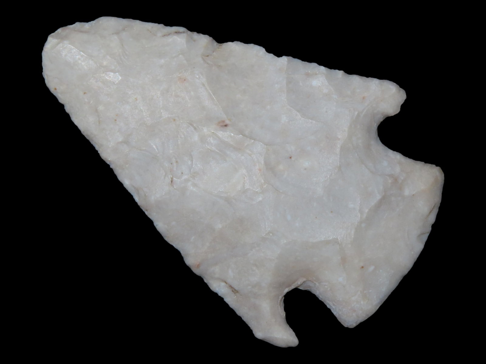 2 1/4" Lang, Bexar Co., Texas (1 of 6)