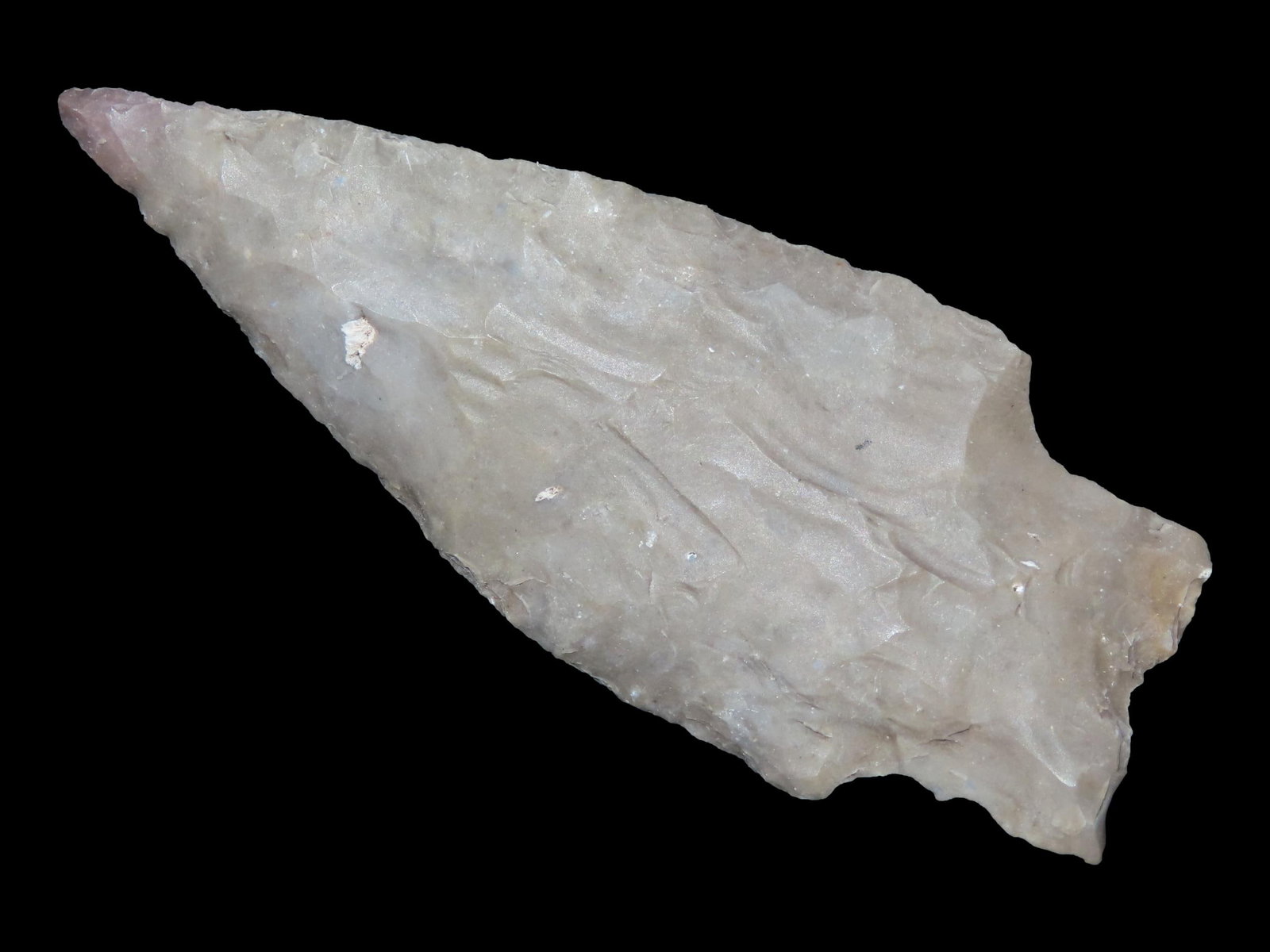 2 5/8" Lang, Bexar Co., Texas (1 of 6)
