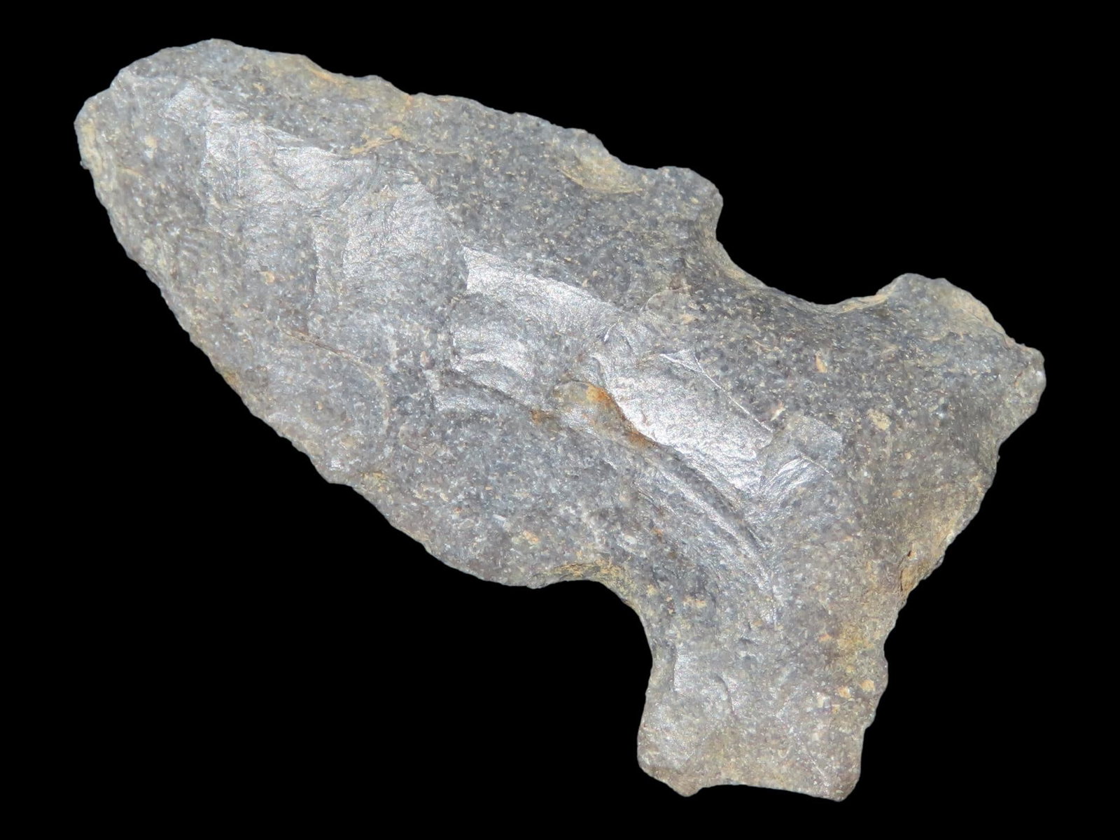 1 5/8" Big Sandy, Henderson Co., Kentucky, Ex. Walt McIntire: 1 5/8" Big Sandy, Henderson Co., Kentucky, Ex. Walt McIntire