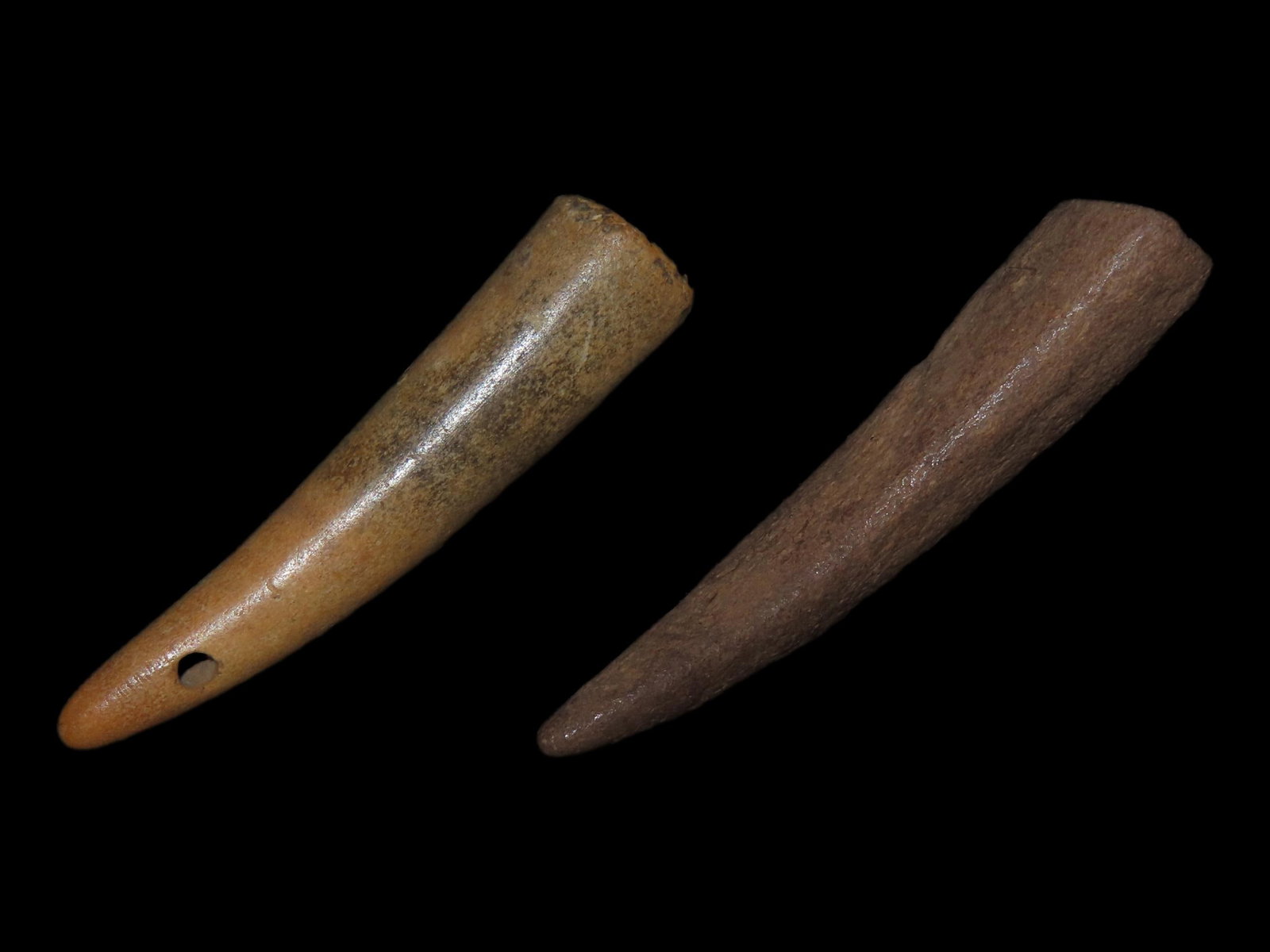Bone Artifacts, Tennessee Historical (1 of 6)