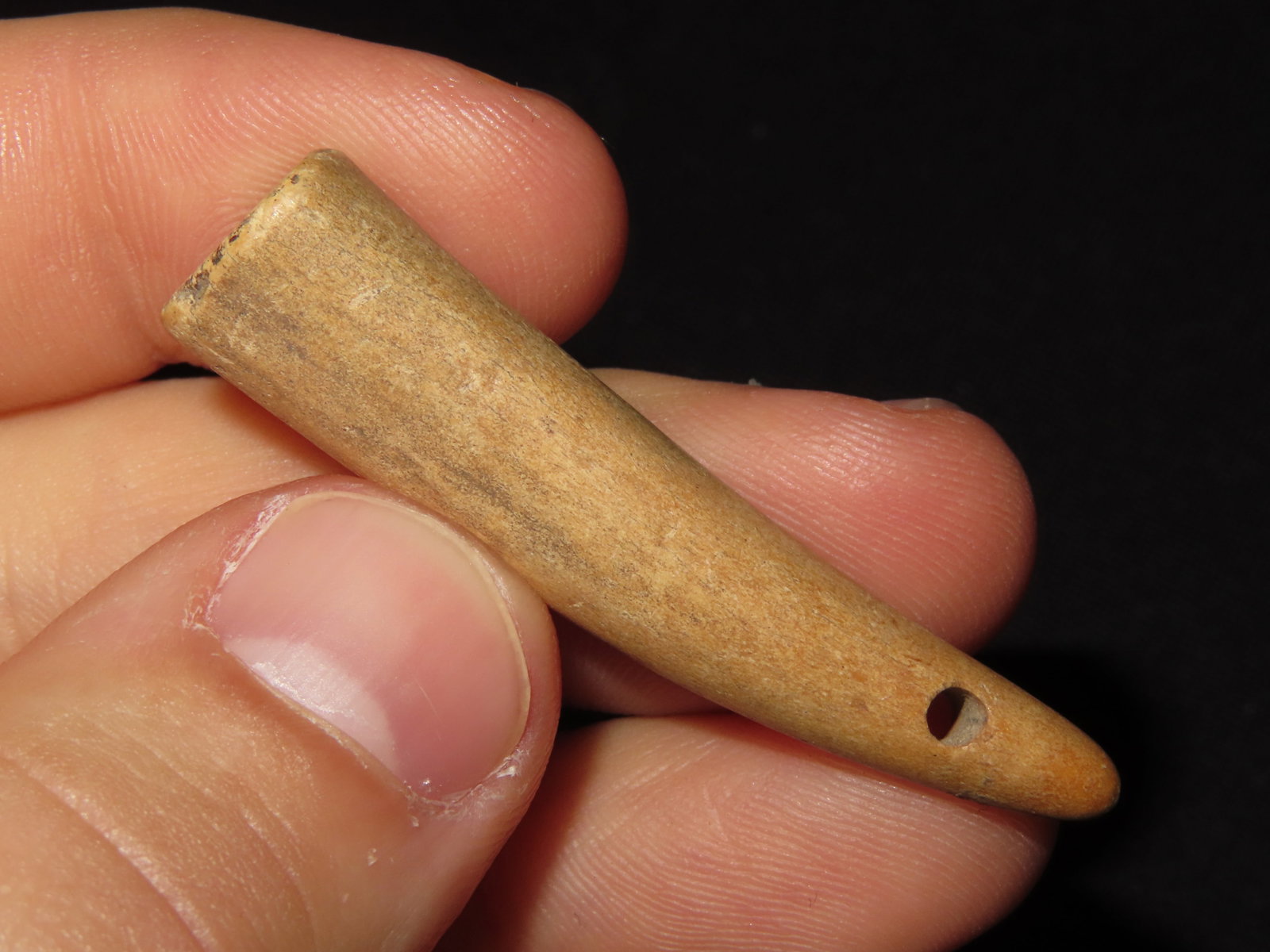 Bone Artifacts, Tennessee Historical - 2