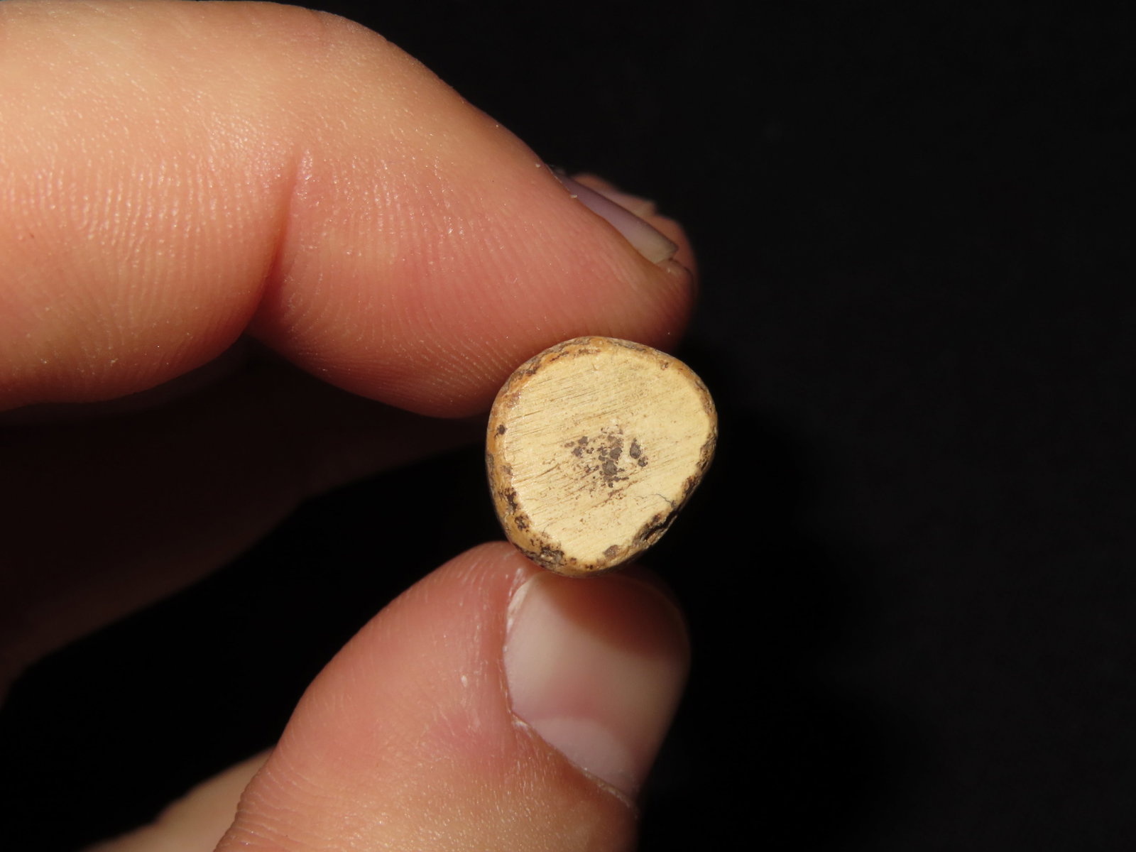 Bone Artifacts, Tennessee Historical - 3