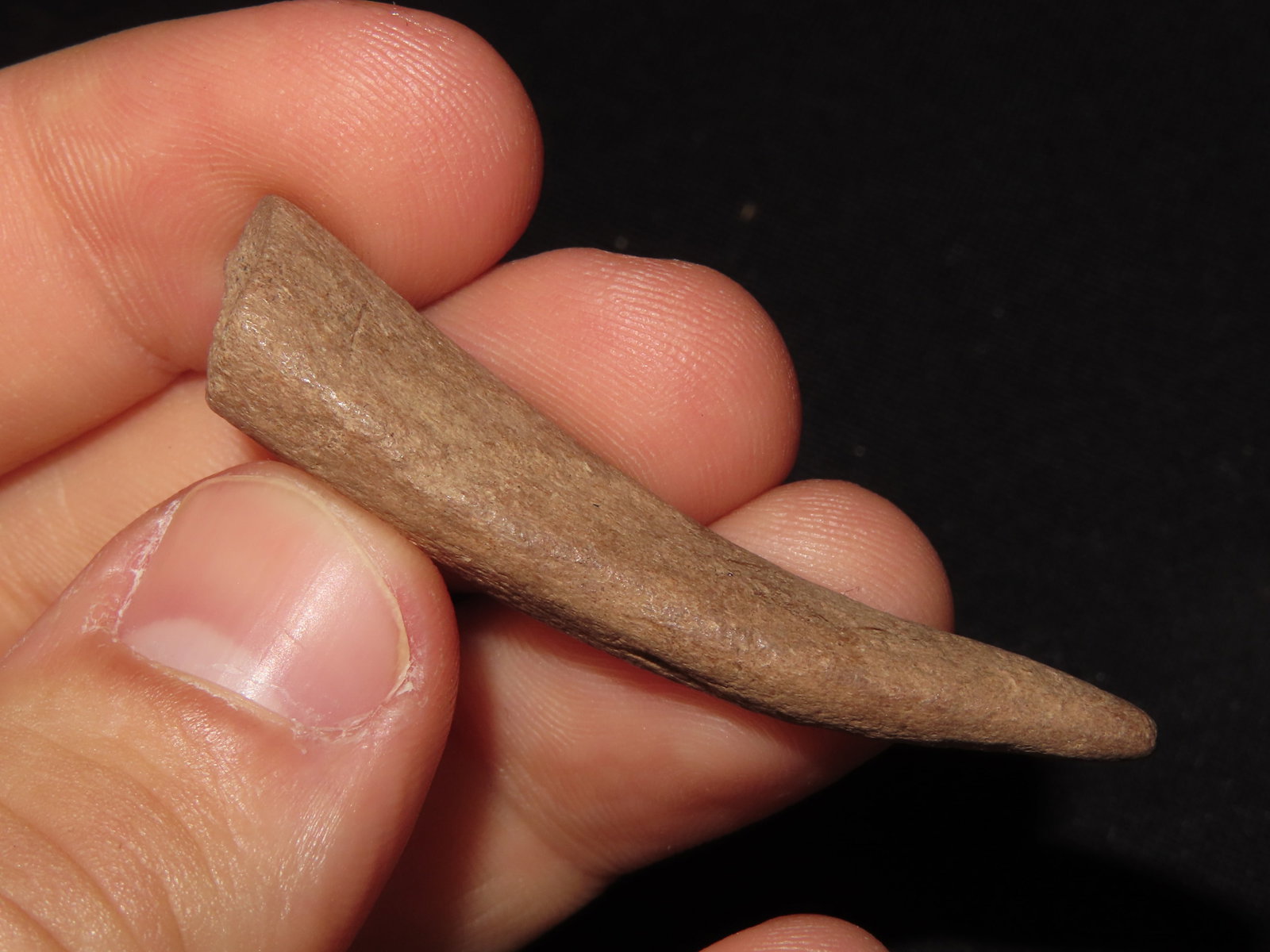 Bone Artifacts, Tennessee Historical - 4