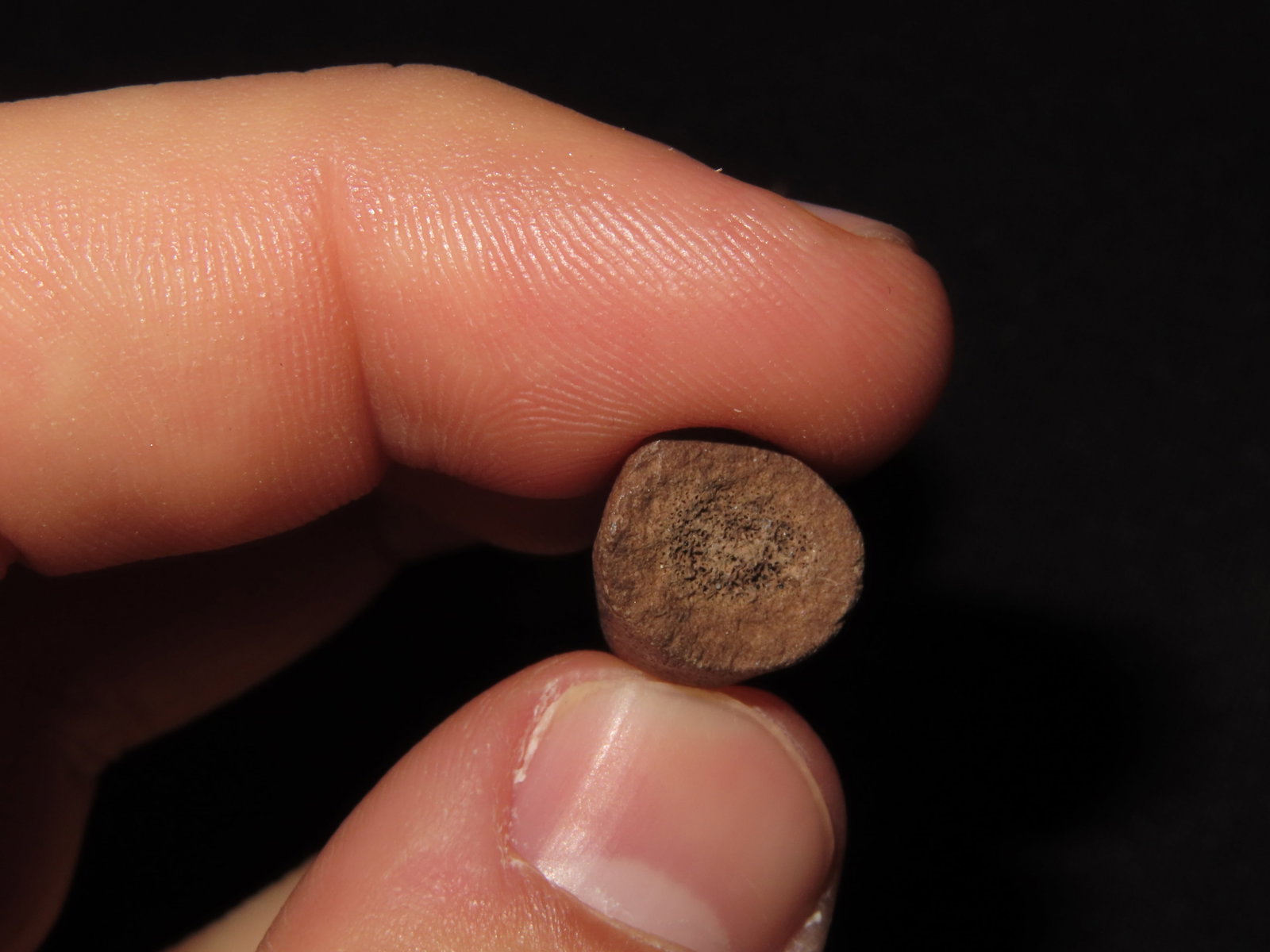 Bone Artifacts, Tennessee Historical - 5
