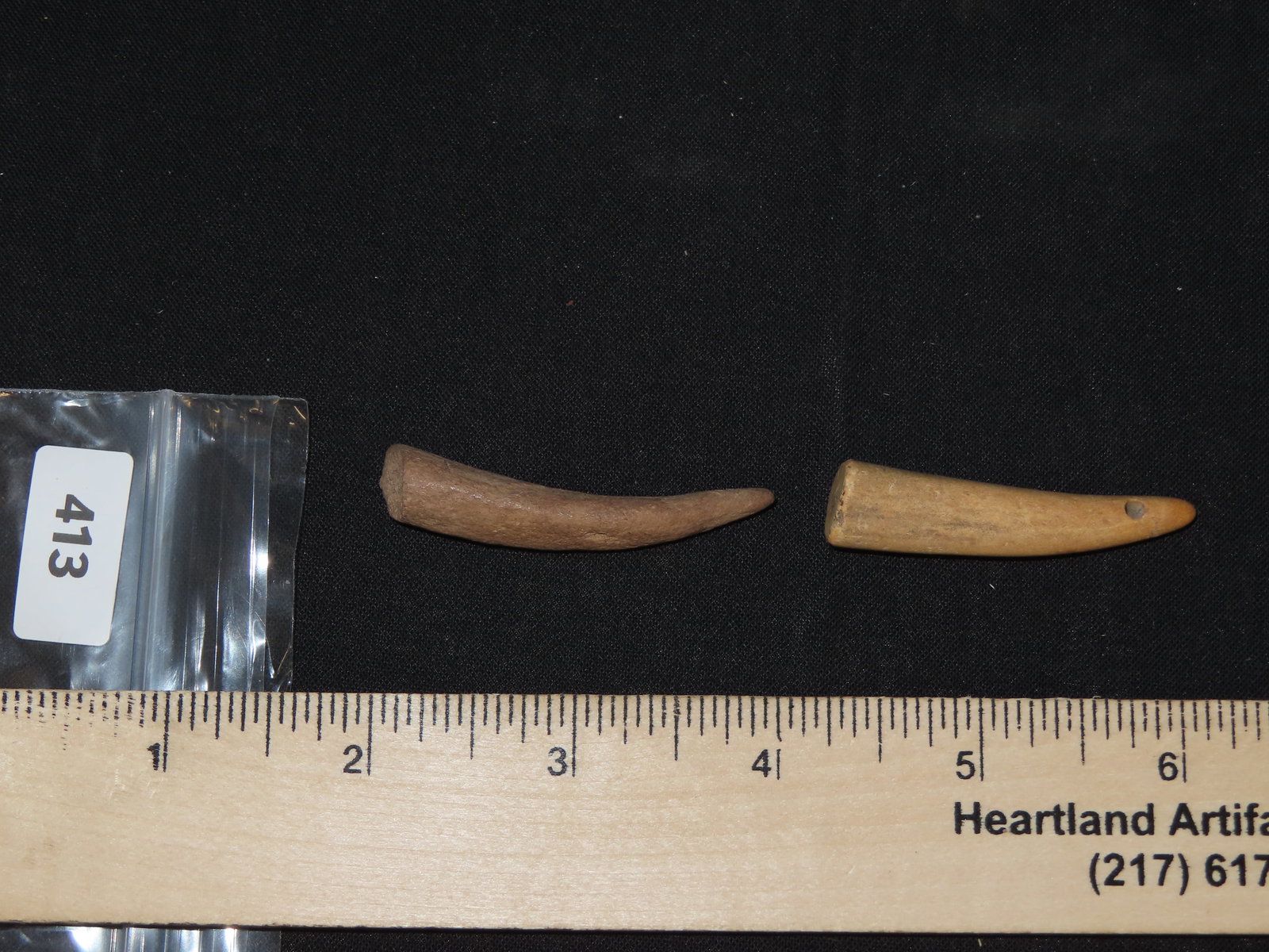 Bone Artifacts, Tennessee Historical - 6