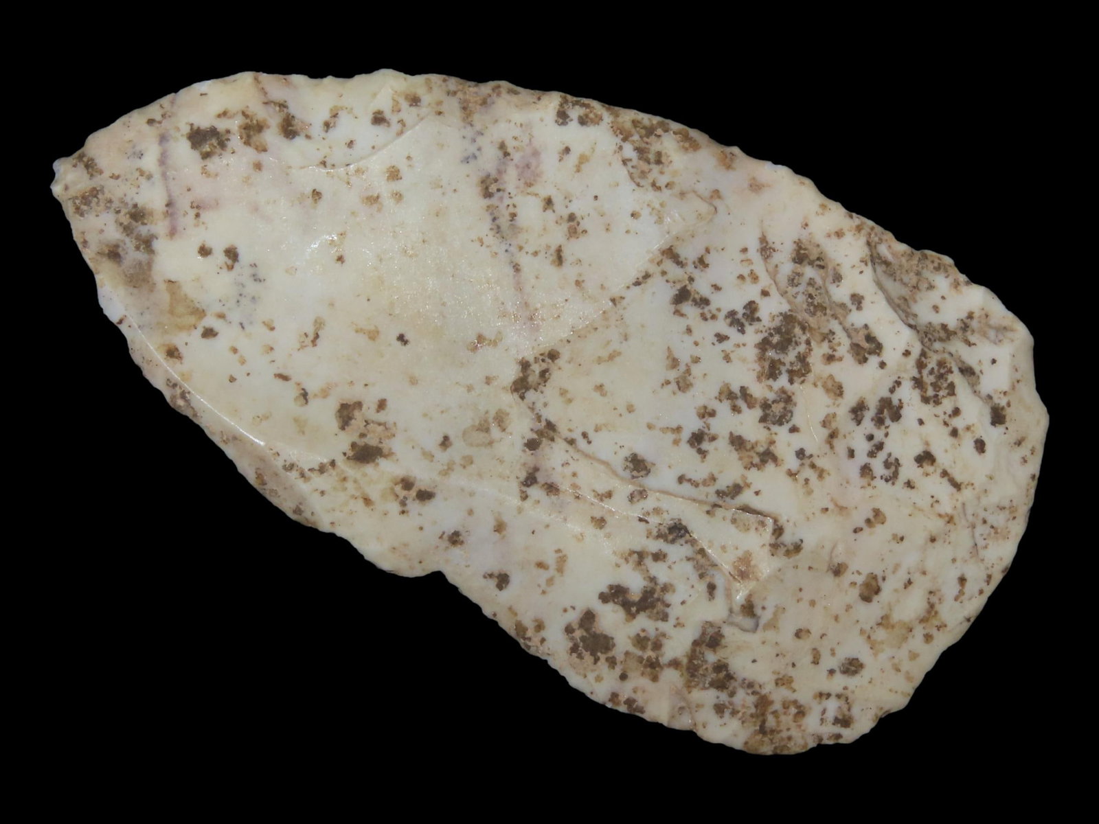 2 7/8" Cobbs Blade, Calhoun Co., Illinois (1 of 8)