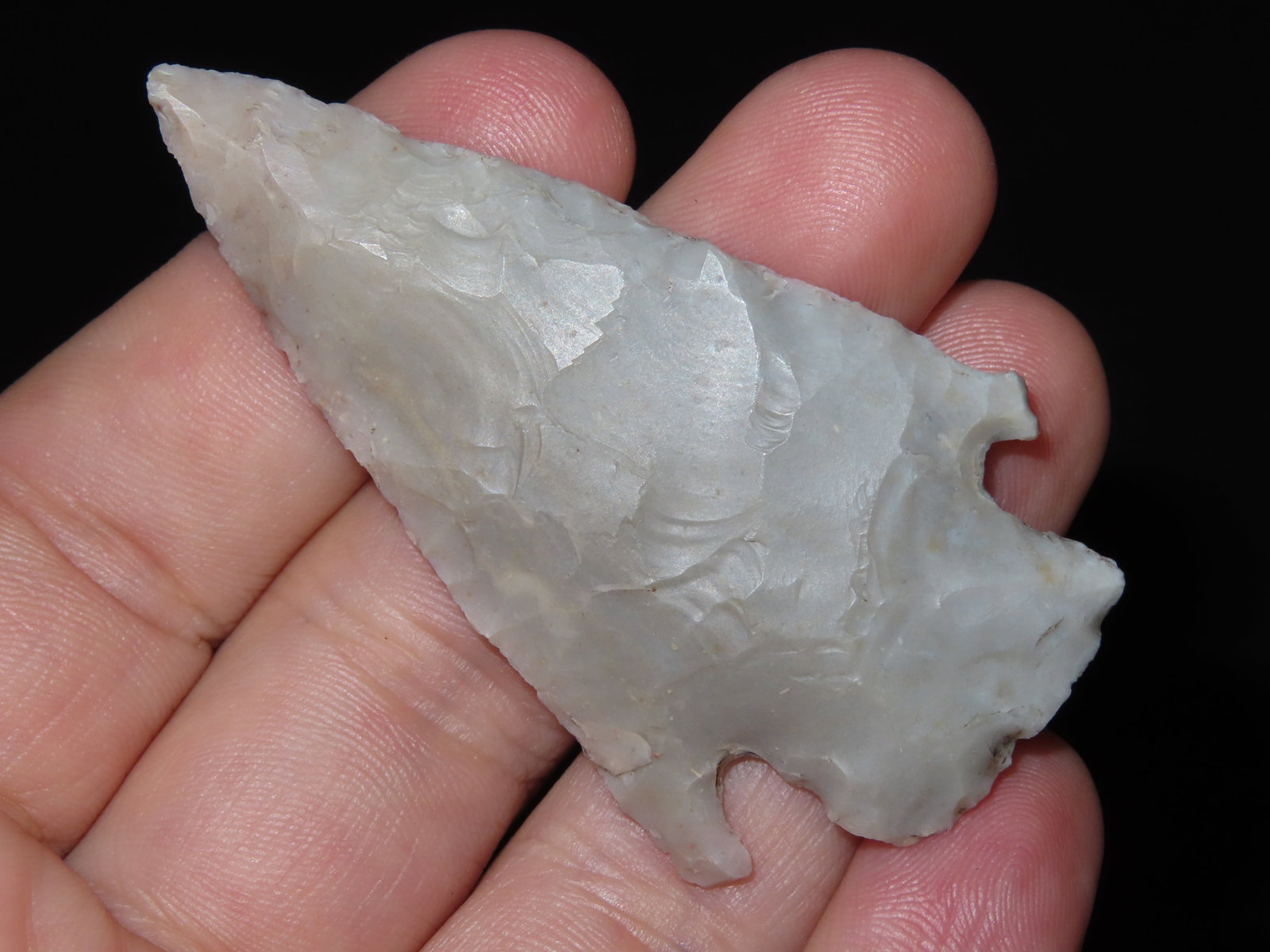 2 5/8" Lang, Bexar Co., Texas - 2