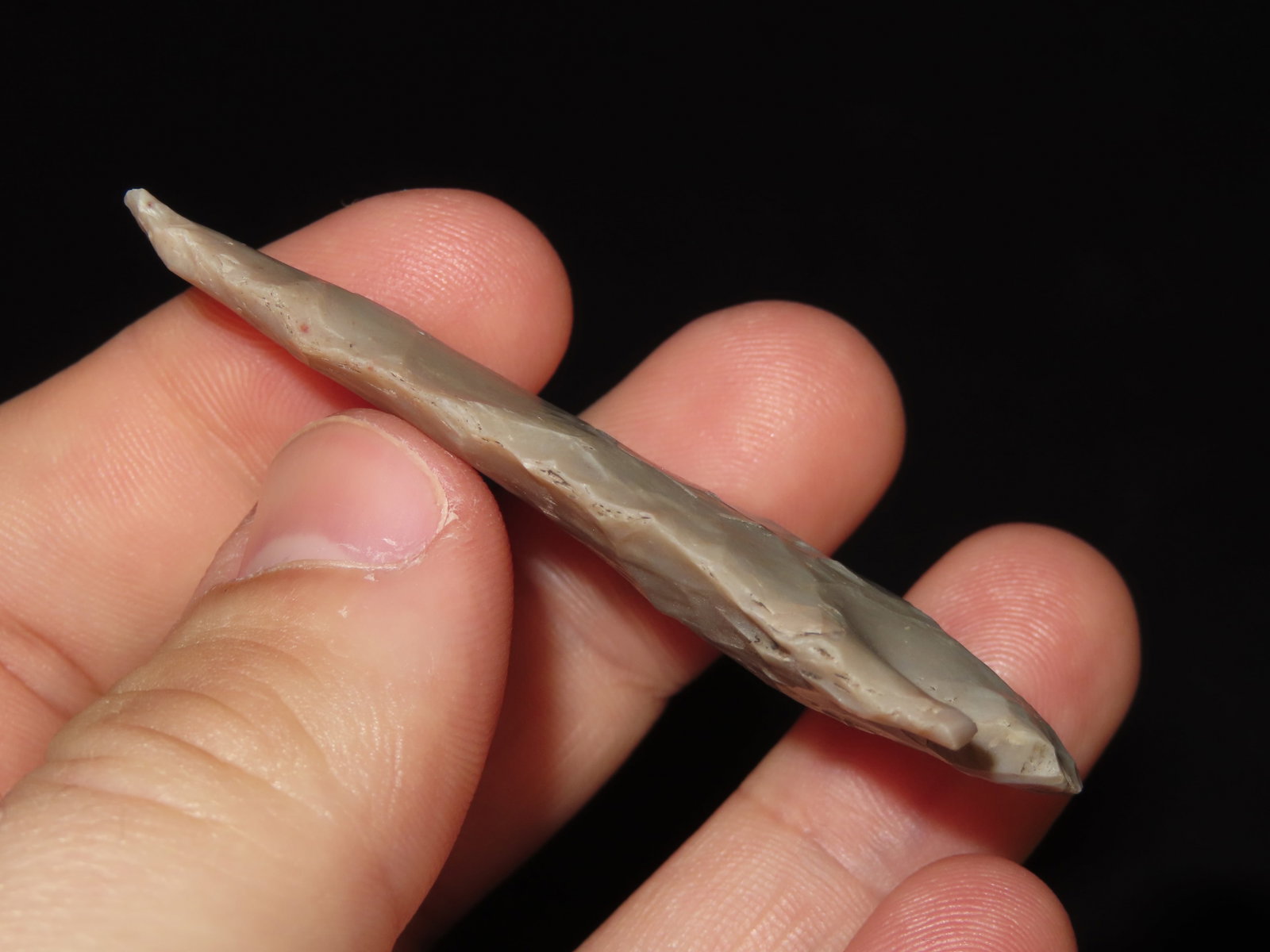 2 5/8" Lang, Bexar Co., Texas - 3