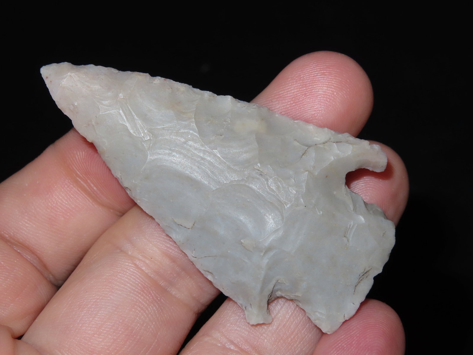 2 5/8" Lang, Bexar Co., Texas - 4