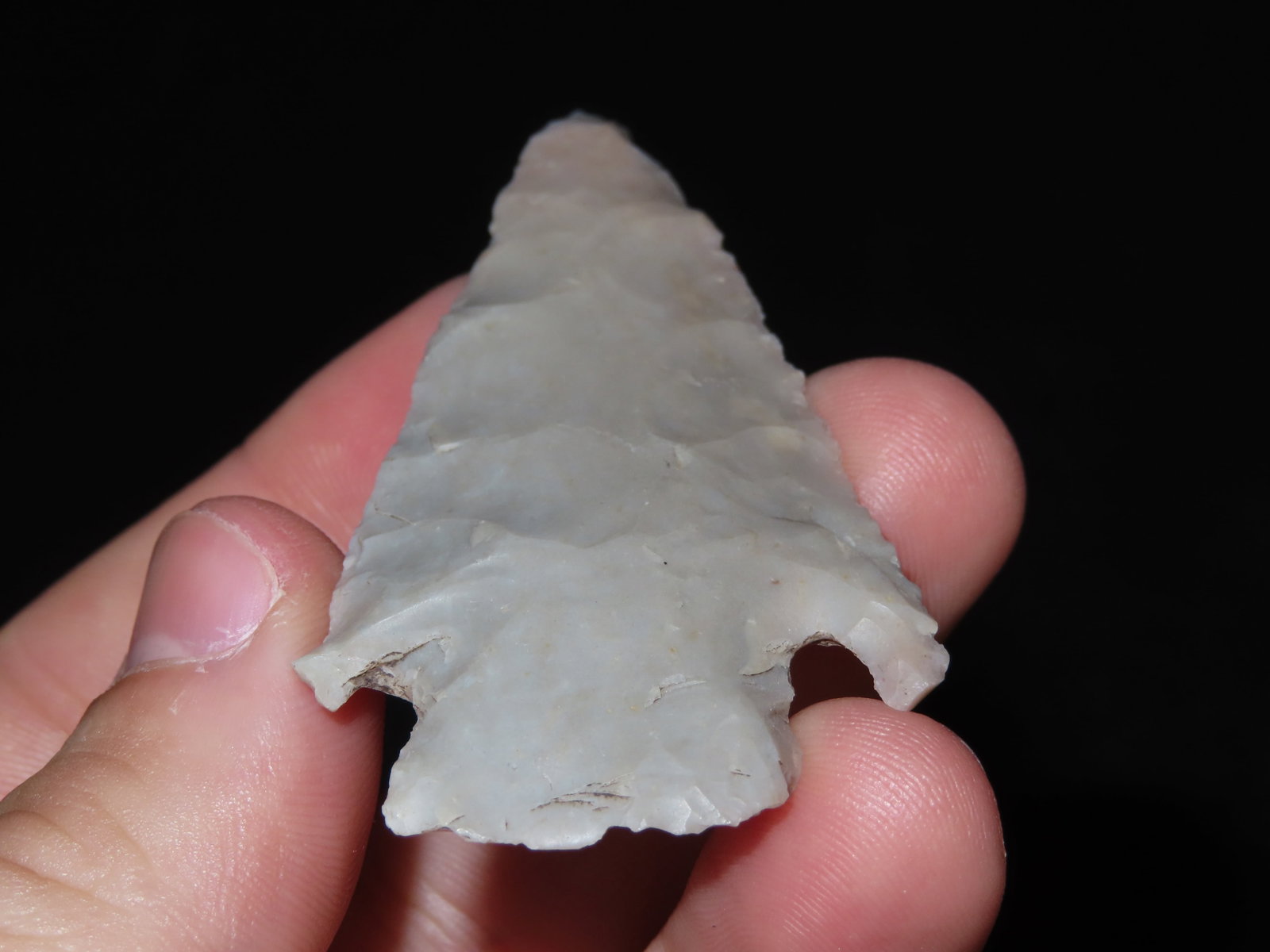 2 5/8" Lang, Bexar Co., Texas - 5