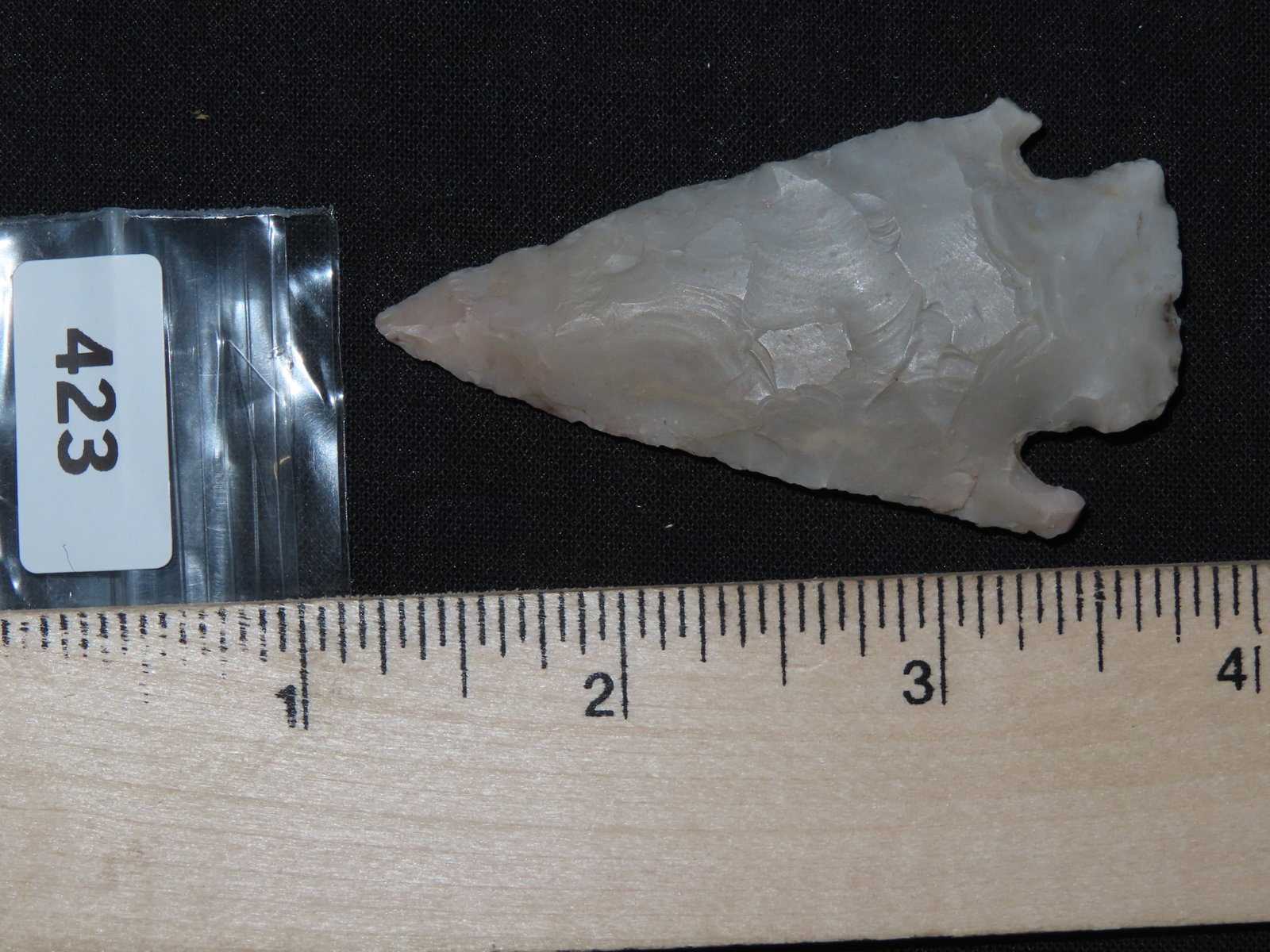 2 5/8" Lang, Bexar Co., Texas - 7