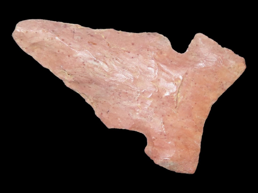 1 1/2" Big Sandy, Henderson Co., Kentucky, Ex. Walt McIntire (1 of 7)