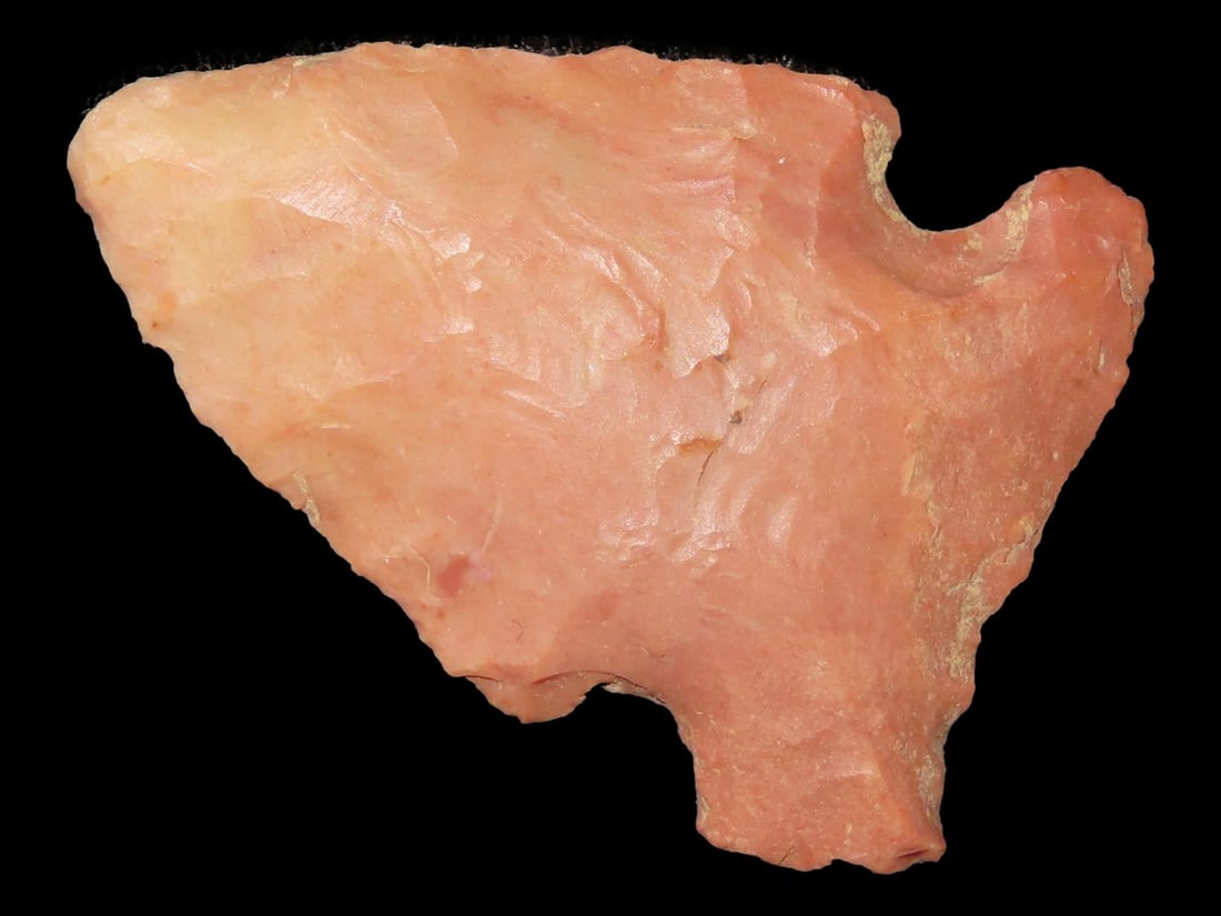 1 1/2" Big Sandy, Henderson Co., Kentucky, Ex. Walt McIntire (1 of 6)