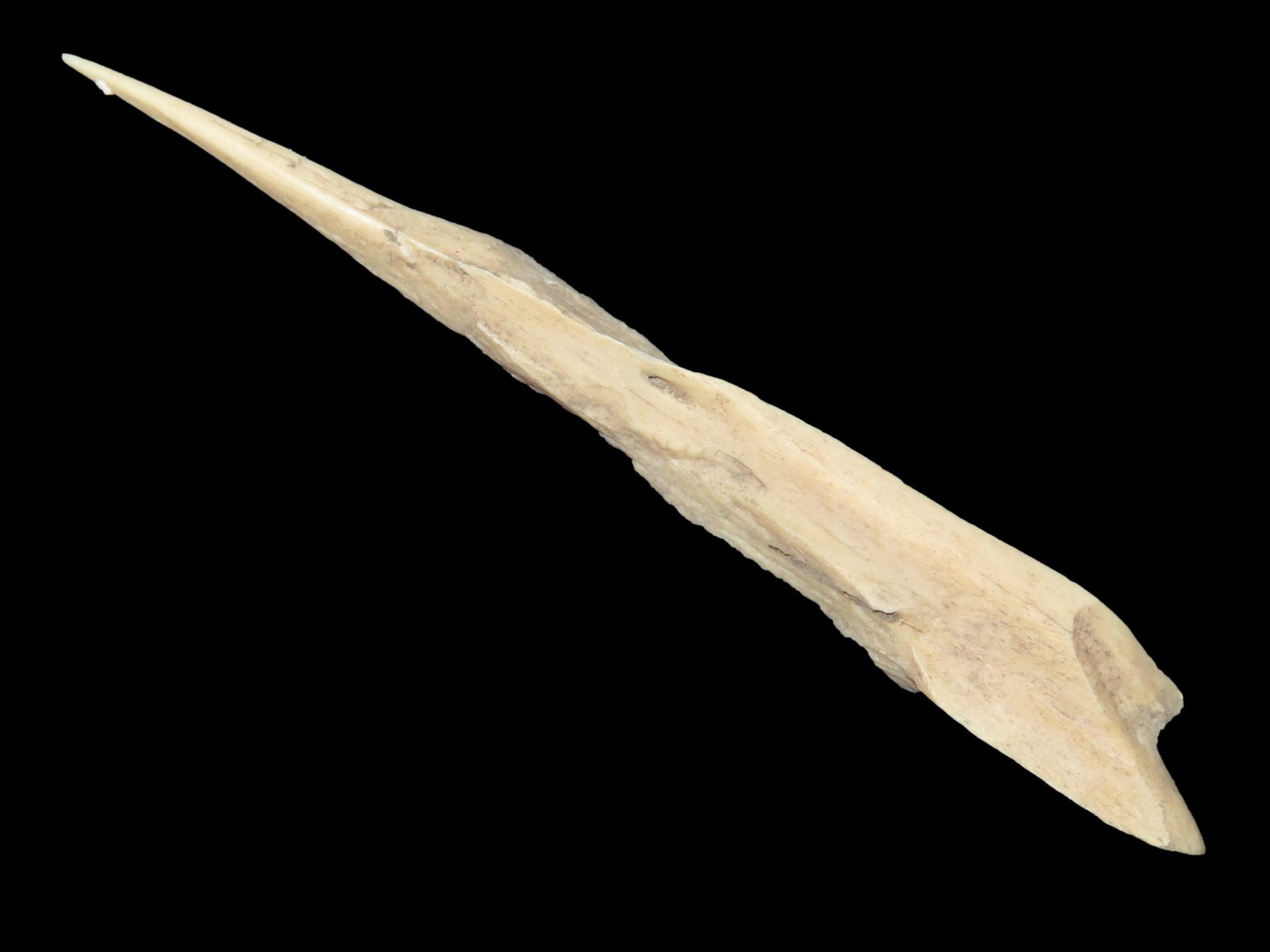 Quality Bone Awl Artifact, Tennessee, Ex. Parker: Quality Bone Awl Artifact, Tennessee, Ex. Parker
