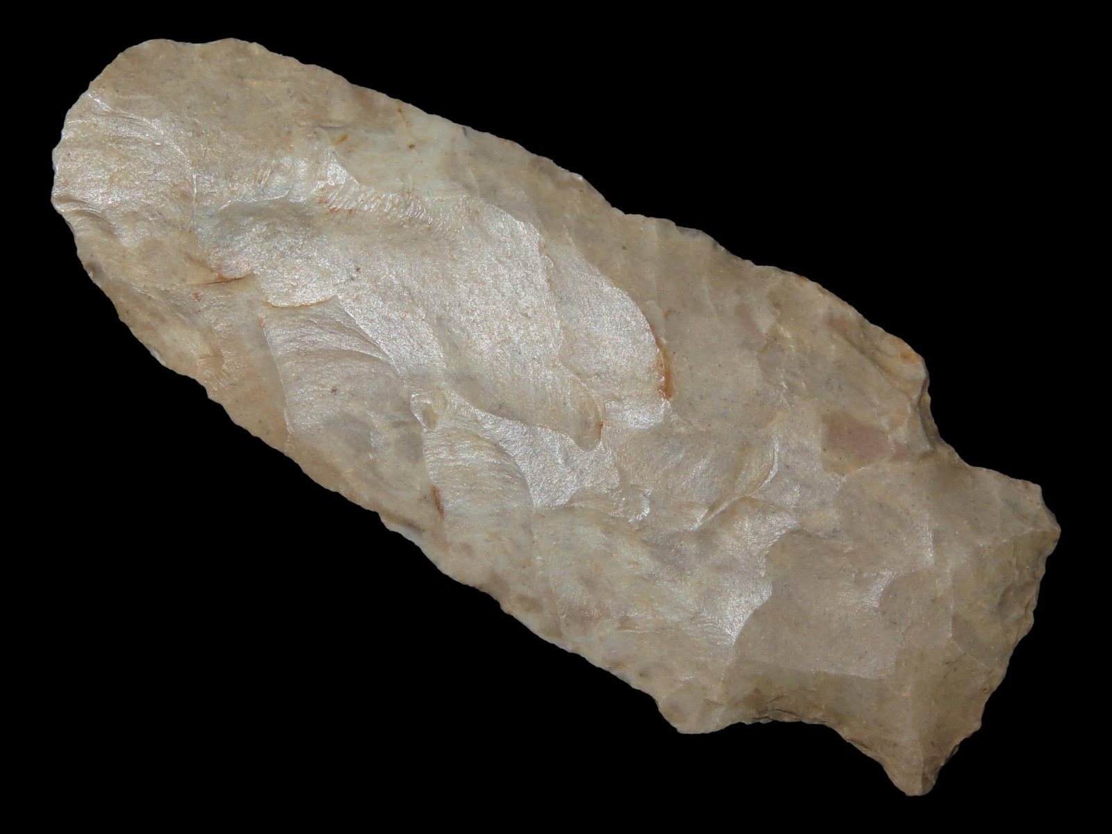 2 1/2" Little Bear, Alabama, Ex. Walt McIntire (1 of 6)