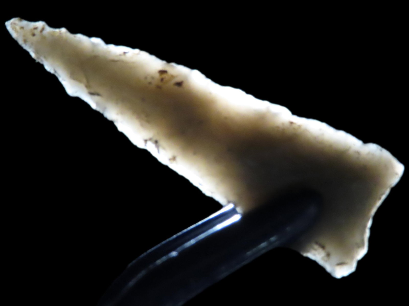 1 1/2" Triangular Pt., Henderson Co., Kentucky, Ex. Walt McIntire (1 of 7)