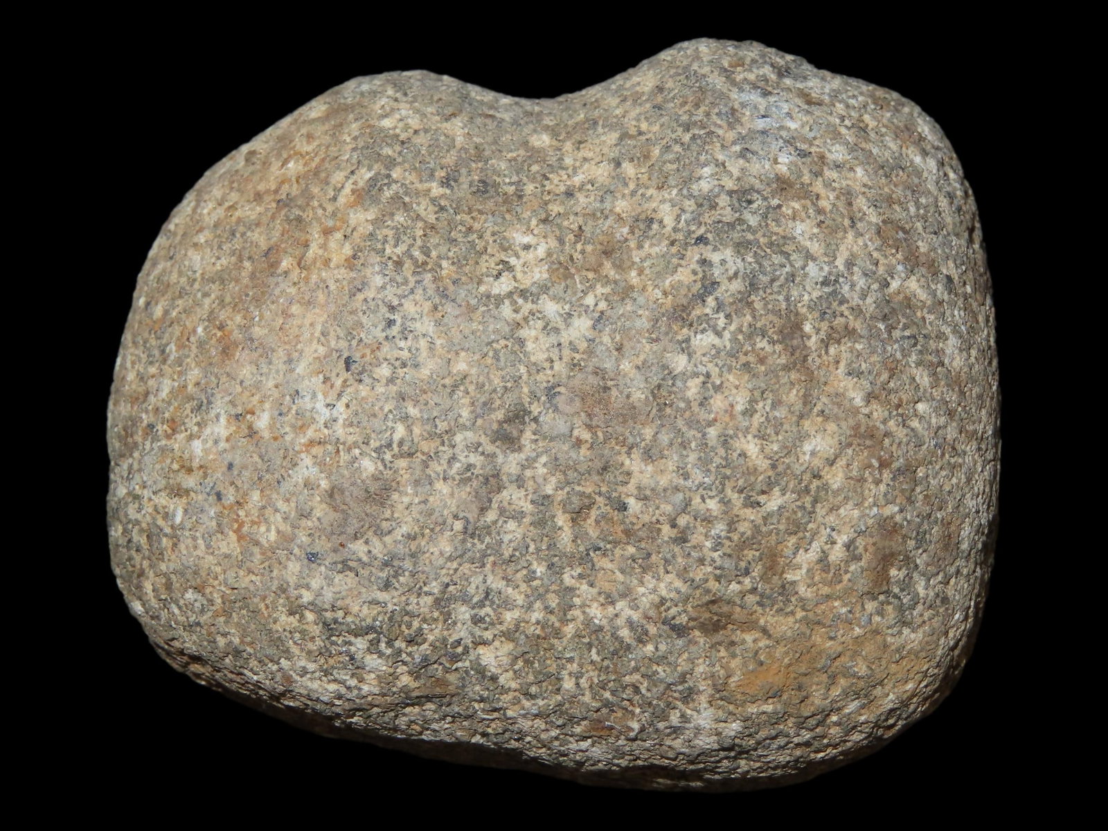 2 1/2" War Club, Grooved, Found in Knox Co., Ohio (1 of 8)