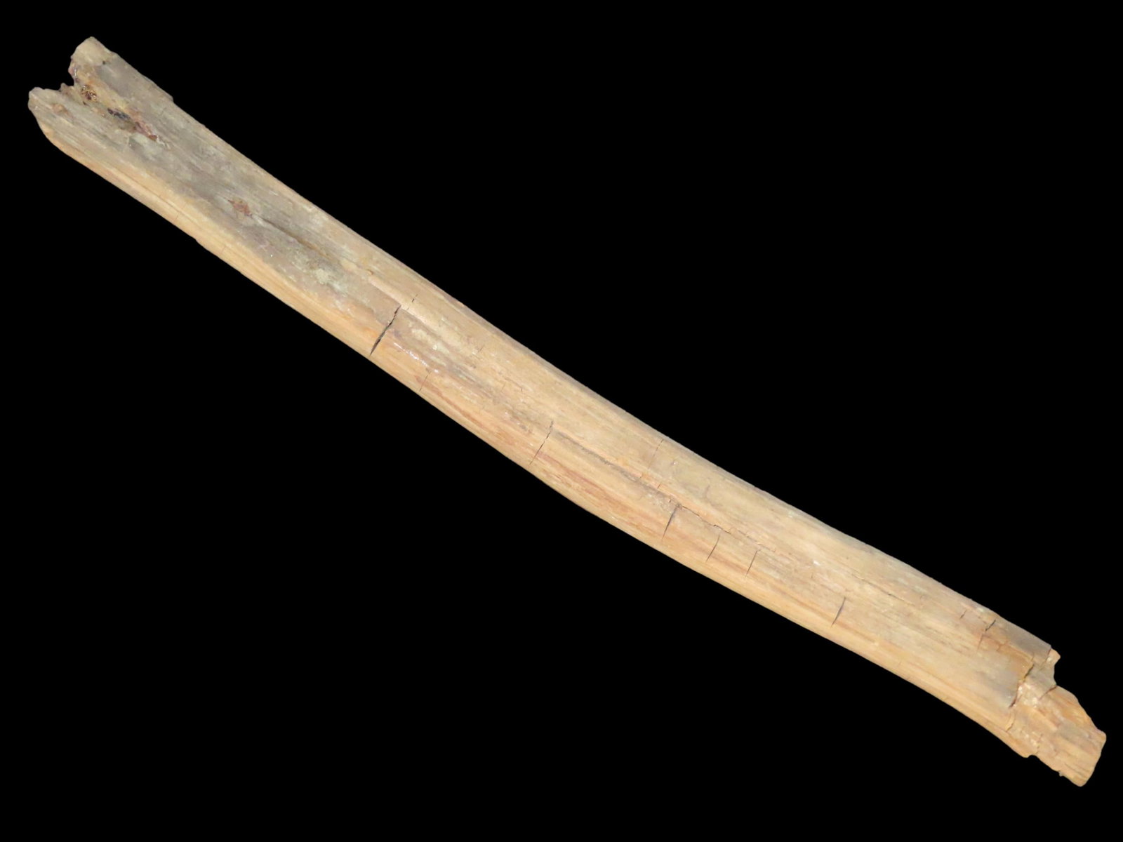 Amazing Anasazi Perishable Relic Handle, Found on Private Property in New Mexico (1 of 8)