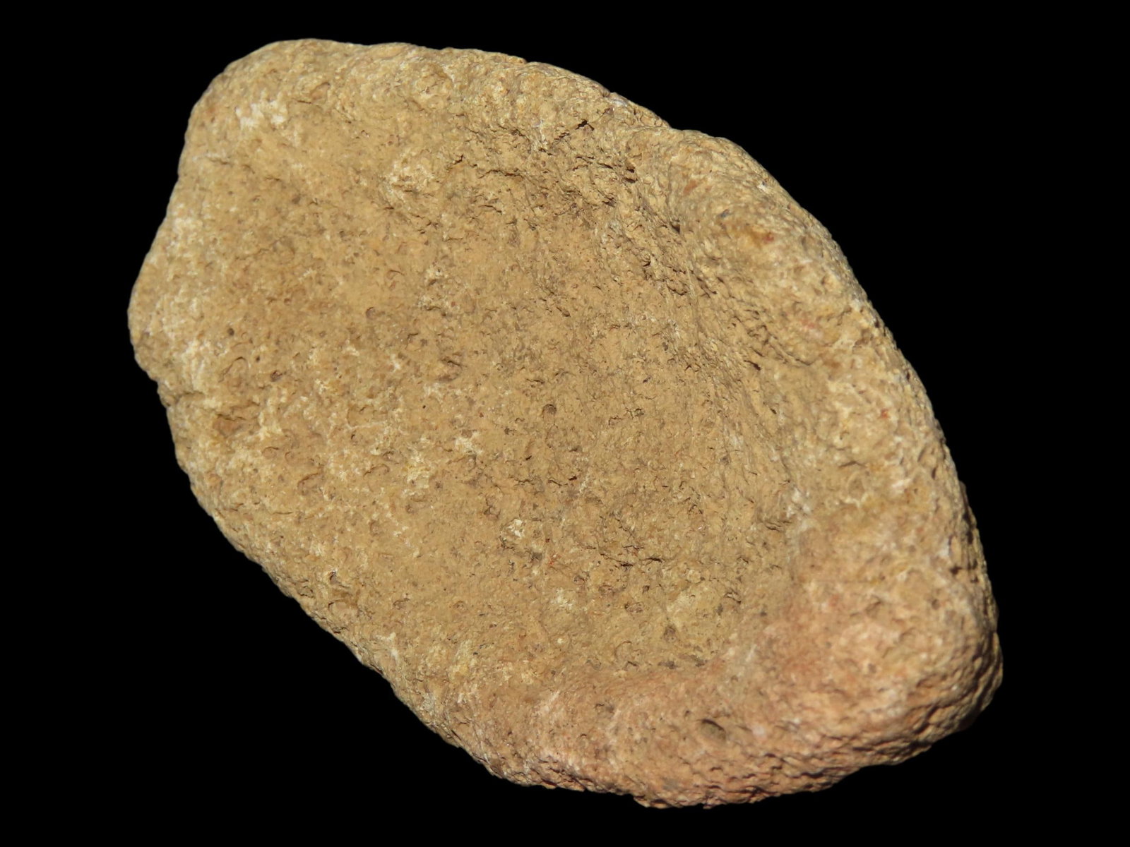 2 3/4" Spineback Boatstone, Tennessee, Ex. Parker Coll. (1 of 8)