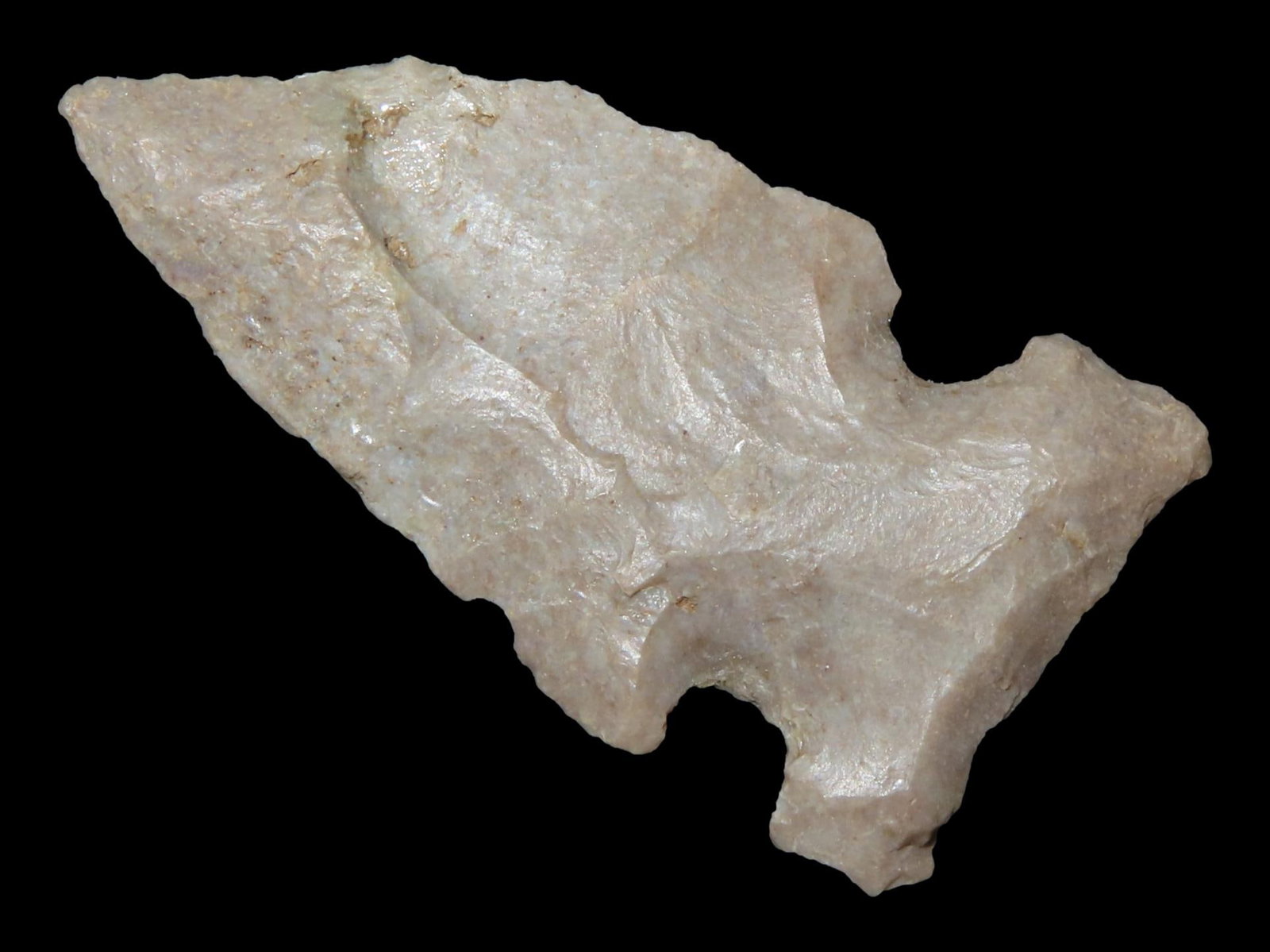 1 7/8" Big Sandy, Fulton Co., Kentucky, Ex. Walt McIntire (1 of 6)