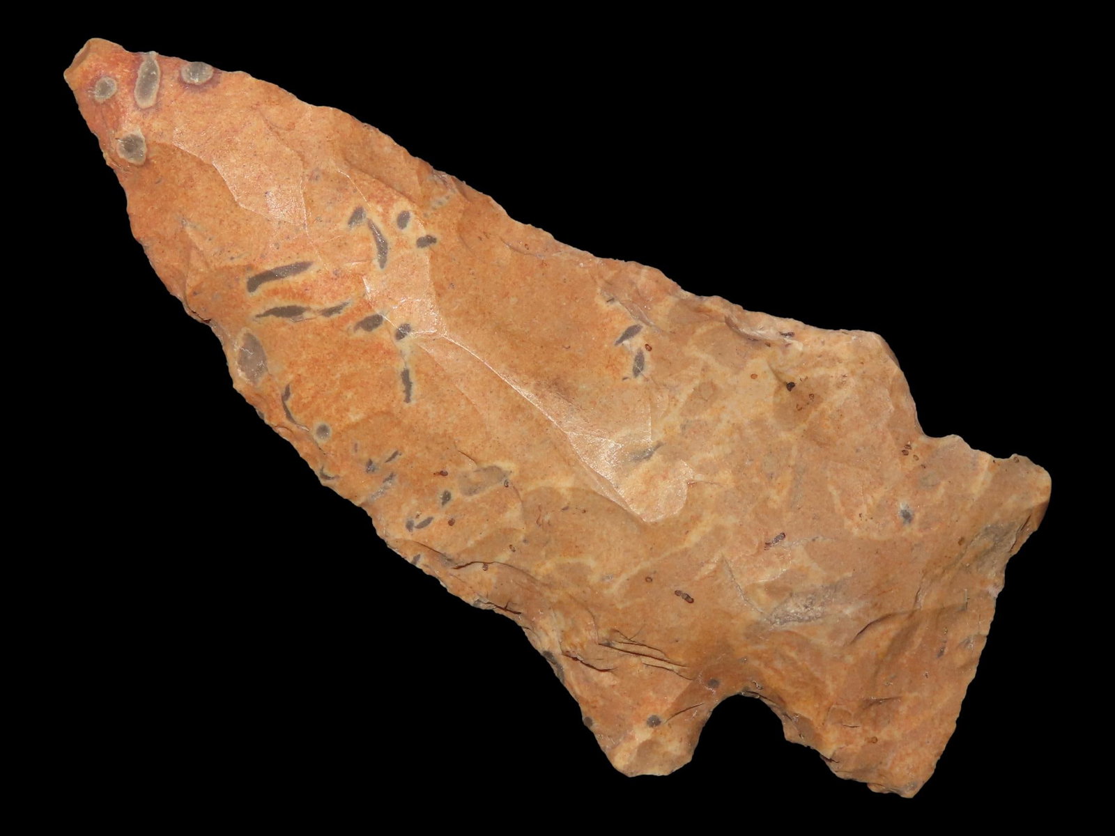 2 3/4" Rice Side Notch, Wild Amoeba Material, Pope Co., Arkansas (1 of 6)
