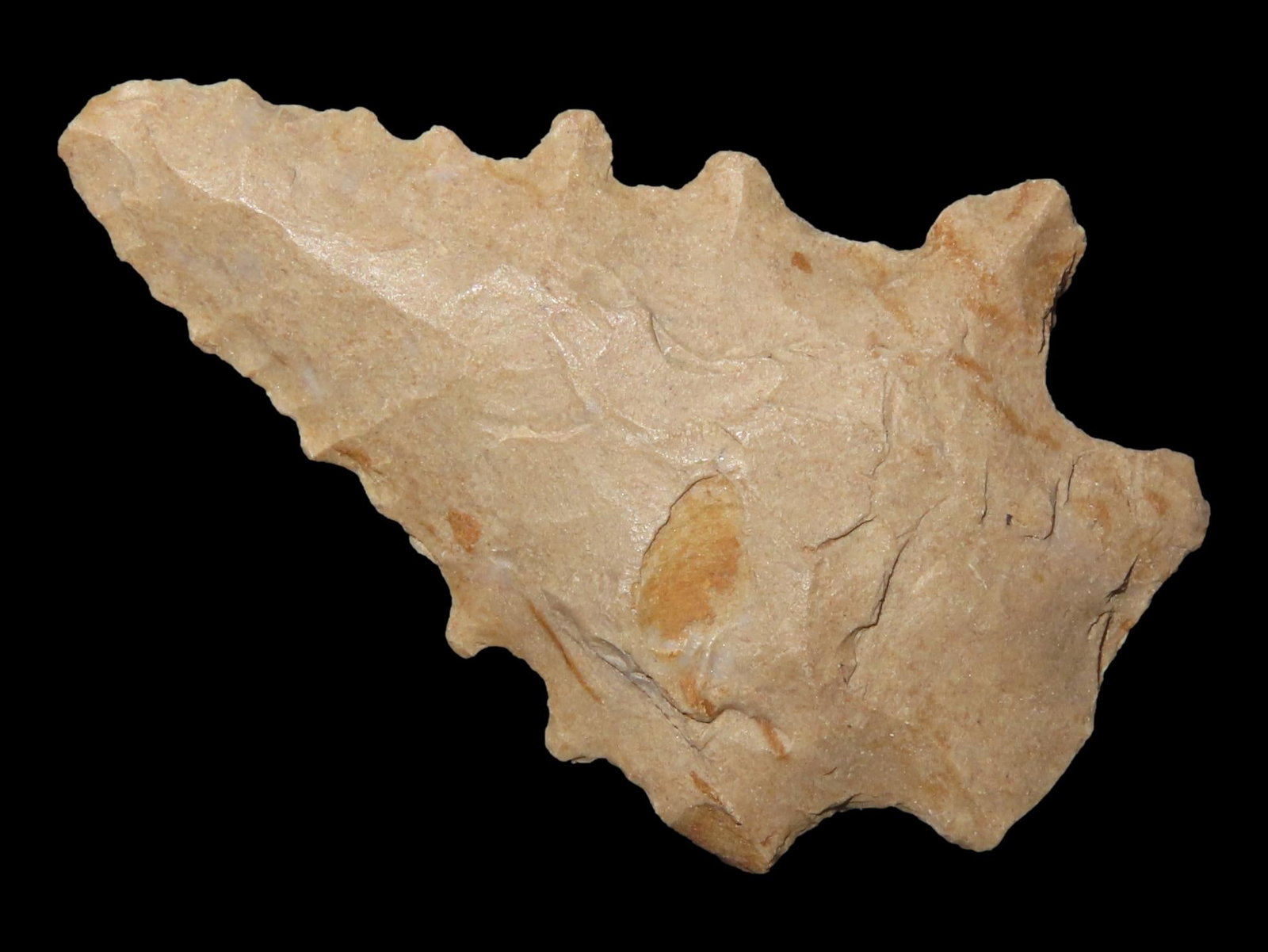 1 5/8" Kirk Corner Notch, Henderson Co., Kentucky (1 of 7)
