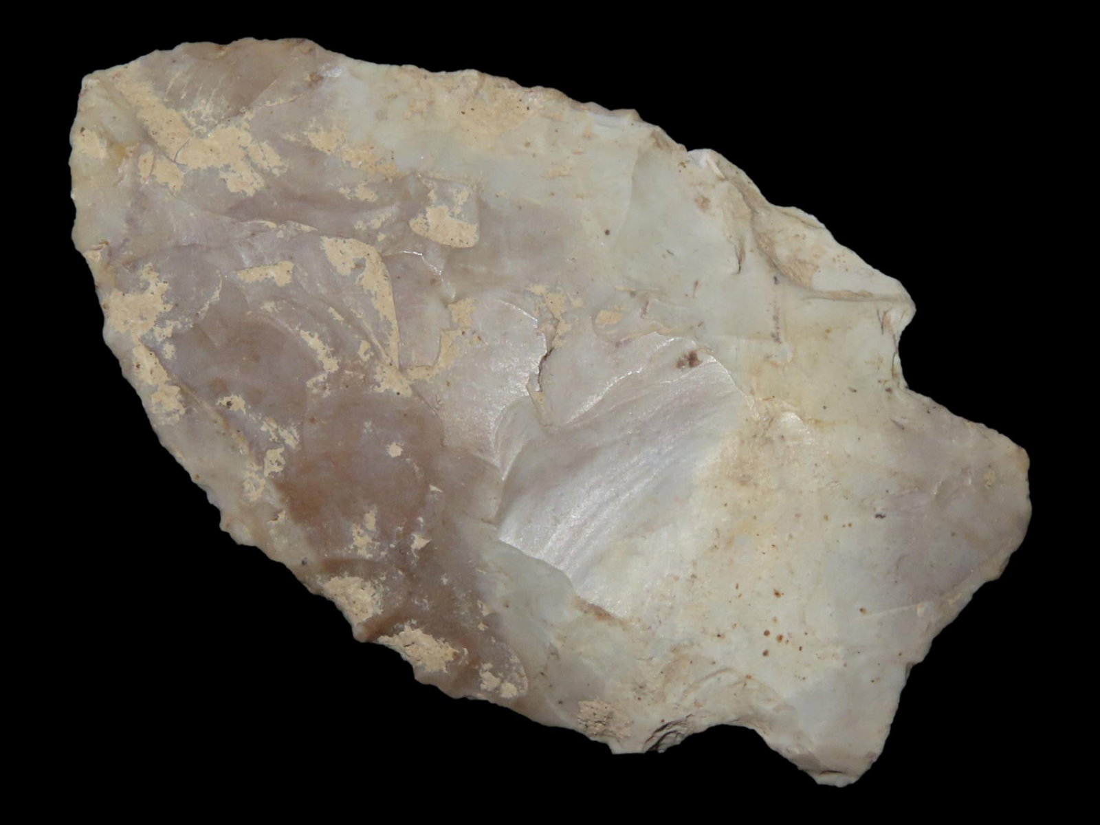 2 1/4" Buzzard Roost, Ground Base, Benton Co., Missouri, Early Archaic: 2 1/4" Buzzard Roost, Ground Base, Benton Co., Missouri, Early Archaic