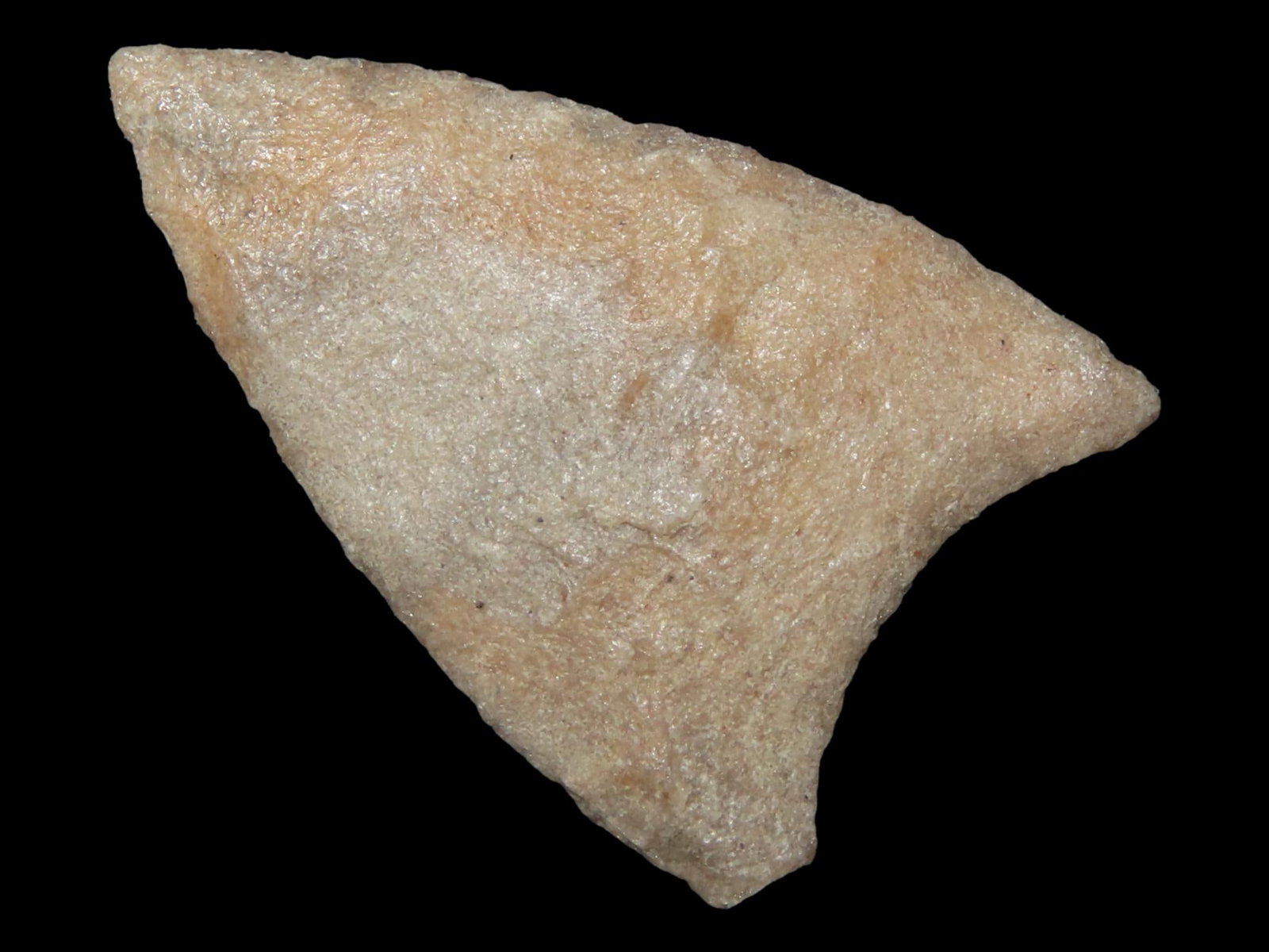 1 3/8" Early Paleo, Found in North Carolina, Very Thin Quartzite Material (1 of 7)