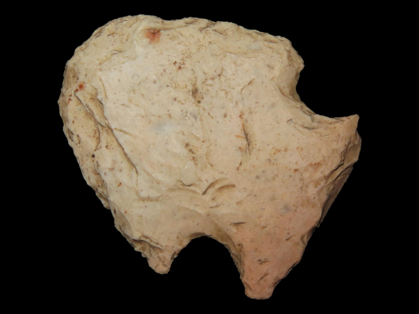 1 7/8" Hopewell Snyders Blunt, Found Around Adams Co., Illinois (1 of 6)