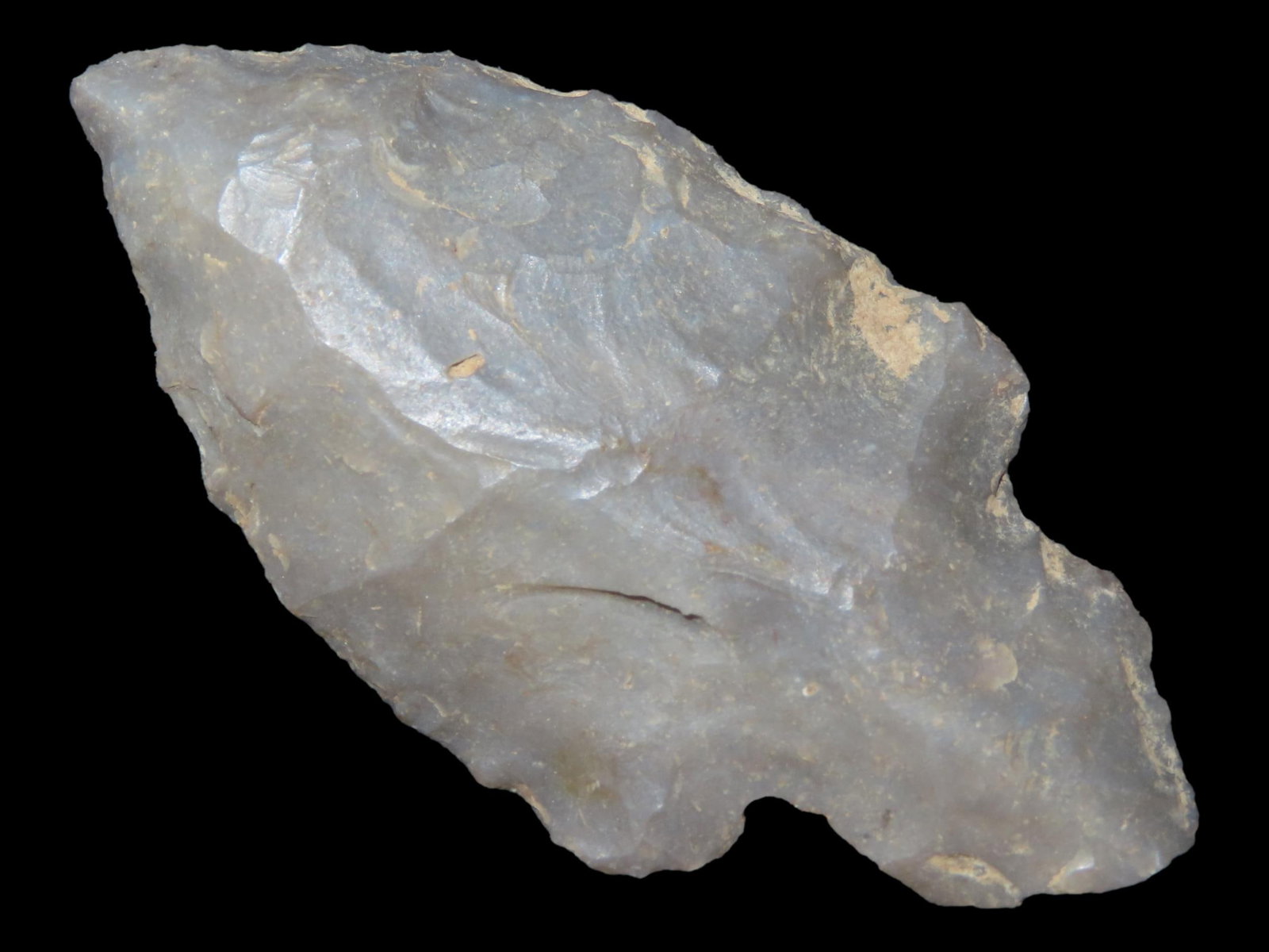 2 5/16" Turkeytail, Ex. Walt McIntire Collection (1 of 6)