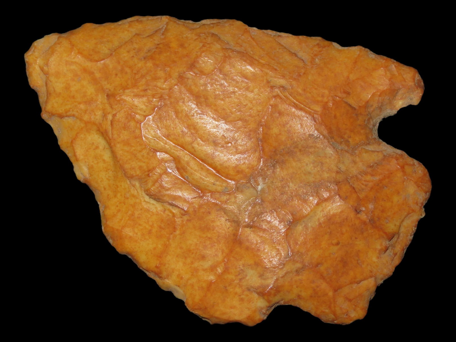 2 5/8" Mehlville, Creek Stained, Greene Co., Illinois (1 of 6)