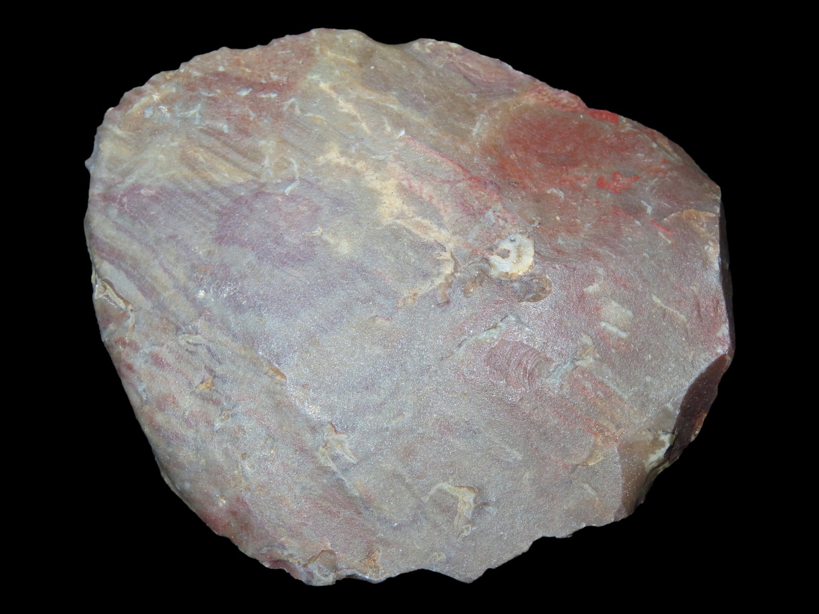 2 5/8" Very Colorful Neolithic Knife, Northern Africa (1 of 7)