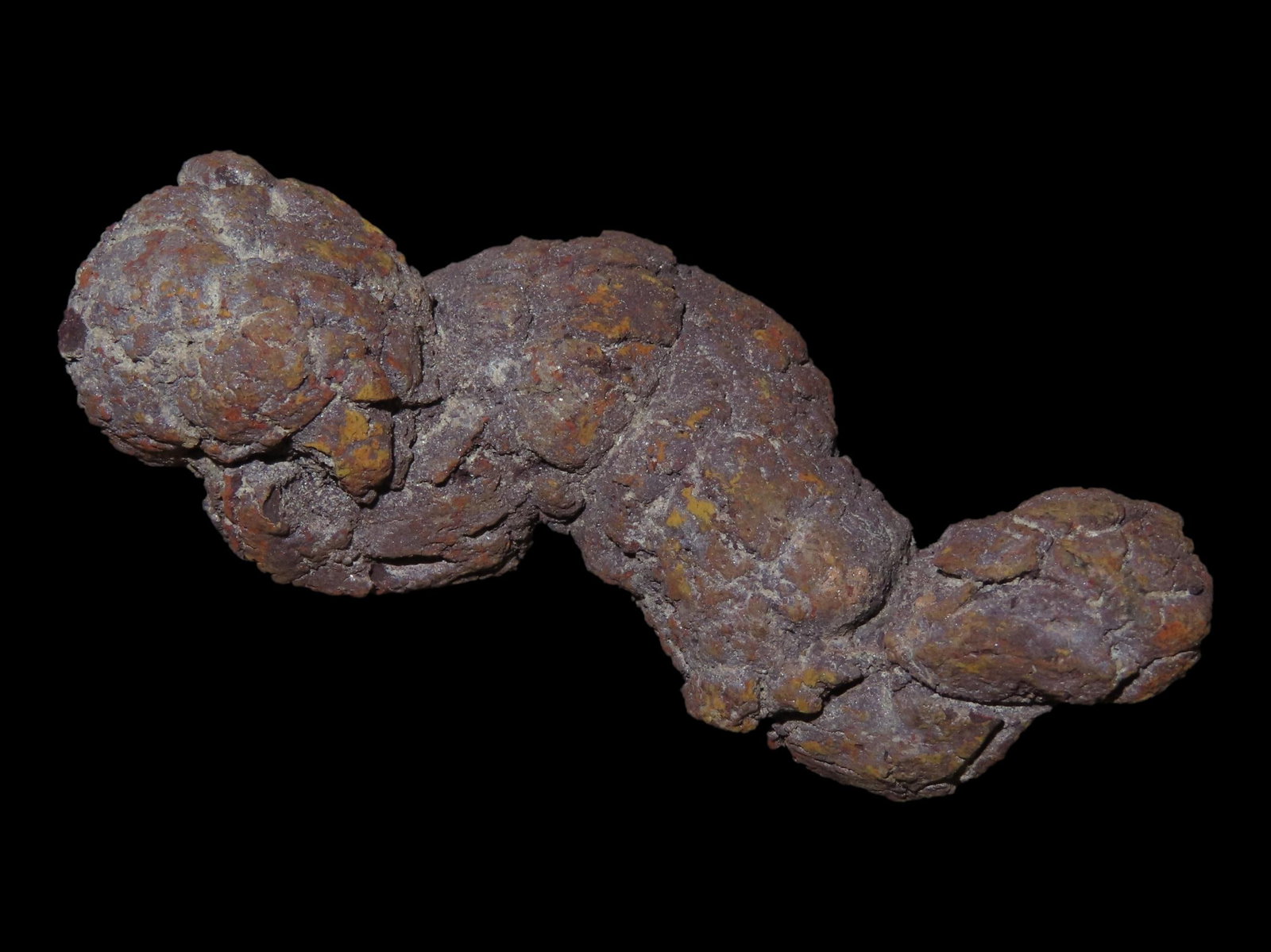 2 3/8" Coprolite Fossilized Dinosaur Poop/Dung, 100 MYO, Madagascar (1 of 6)