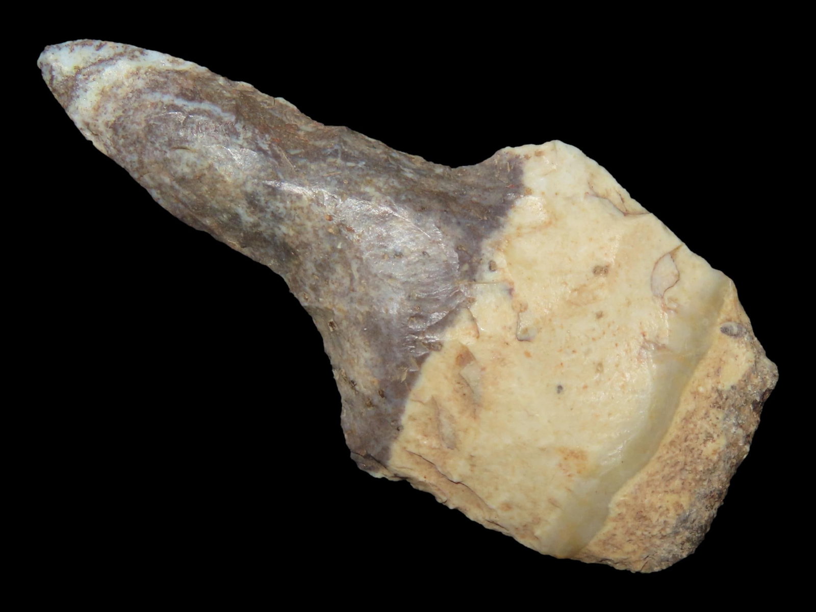 2 1/16" Agate Basin Drill, Ground Base, Avon Chert, Ex. Schoon, Woodland, Illinois (1 of 6)