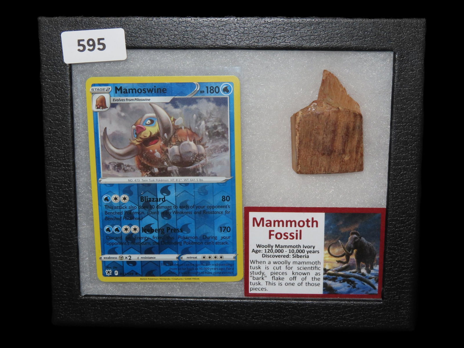 Mammoth Fossil Woolly Mammoth Ivory, Siberia, 120,000-10,000 Years (1 of 4)