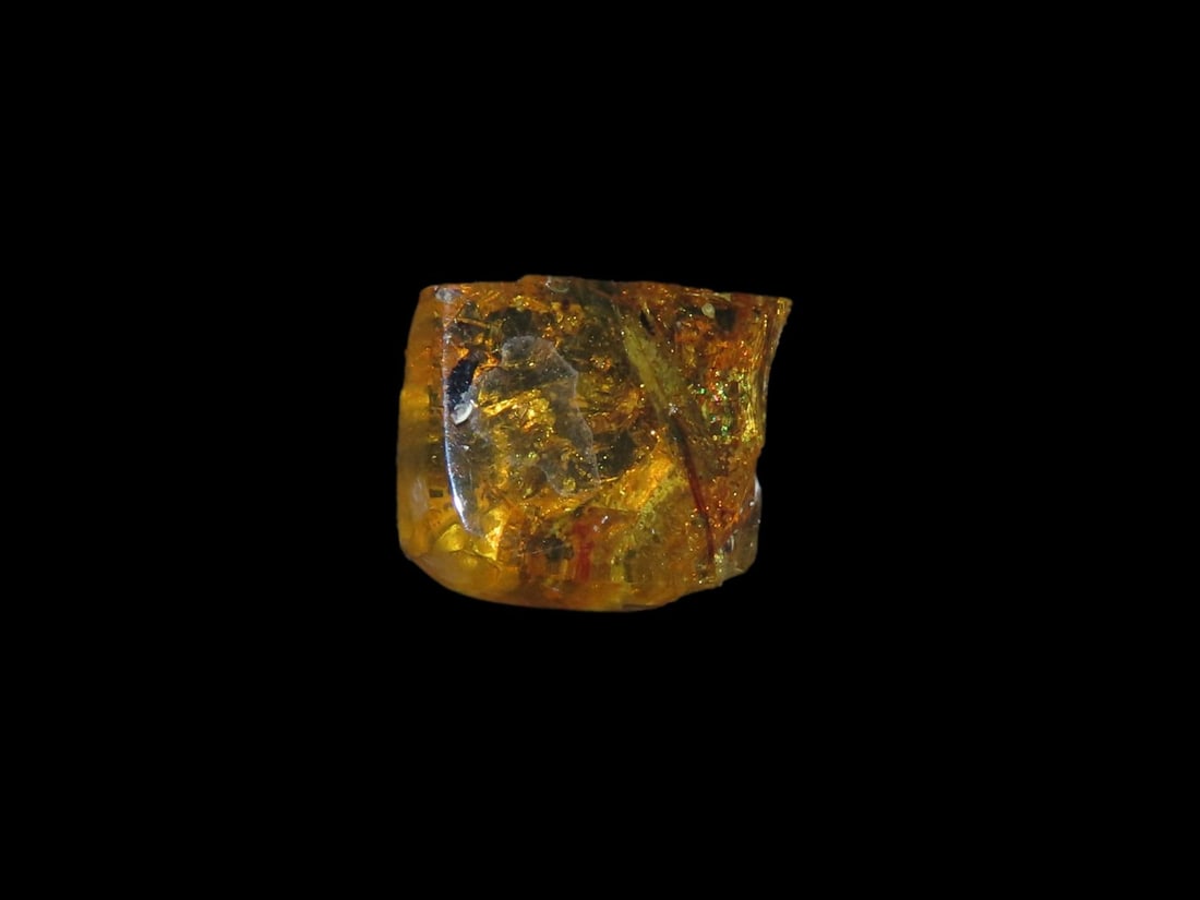Dinosaur Age Amber with Insect, Hukawng Valley, Myanmar/Burma, 100-90 MYO, Cretaceous Era (1 of 3)